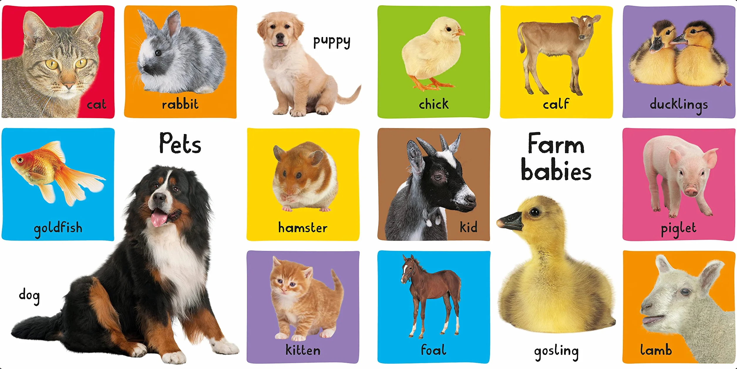 My First 100: Animals