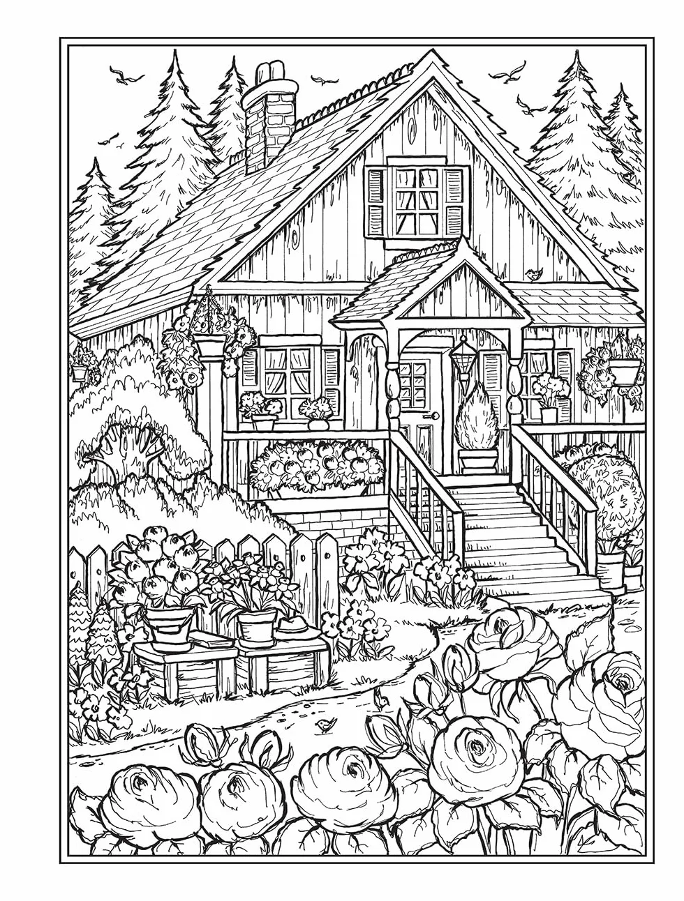 Creative Haven Small-Town Charm Coloring Book