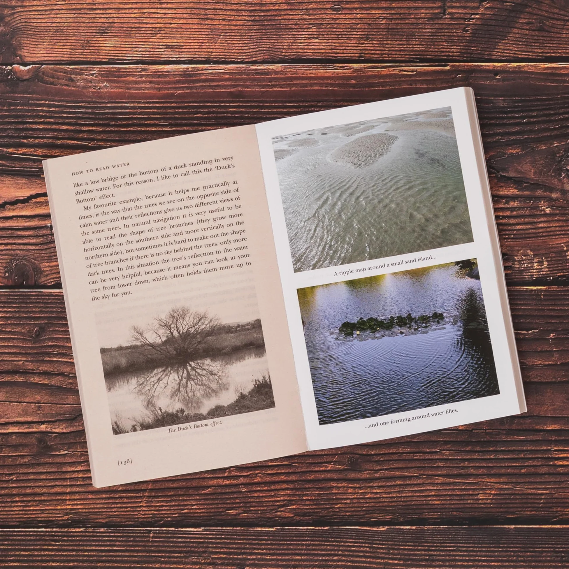 How To Read Water: Clues & Patterns from Puddles to the Sea