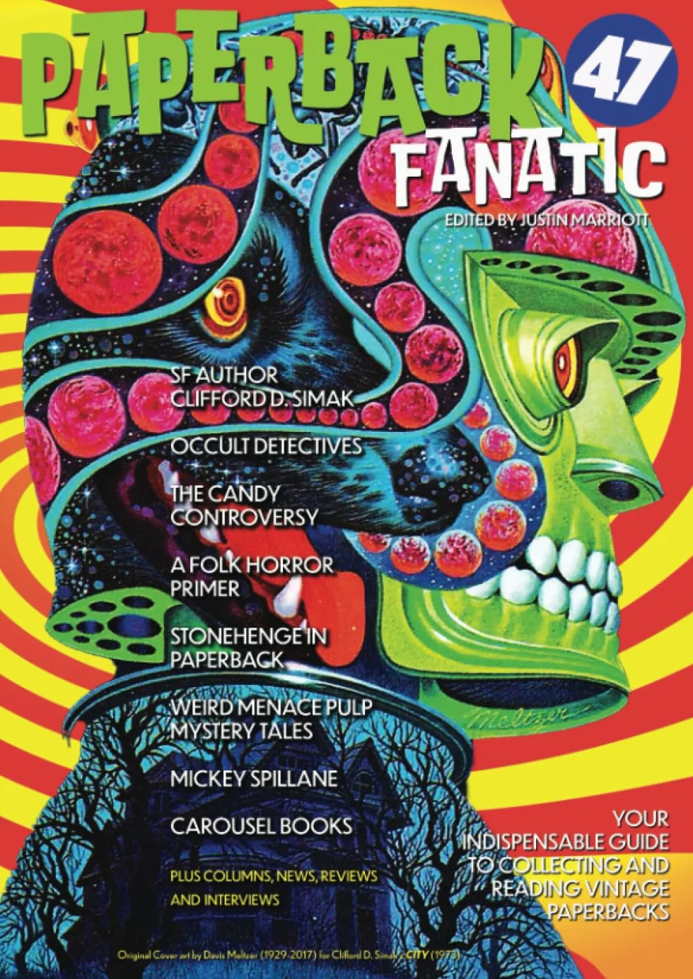 Paperback Fanatic 47