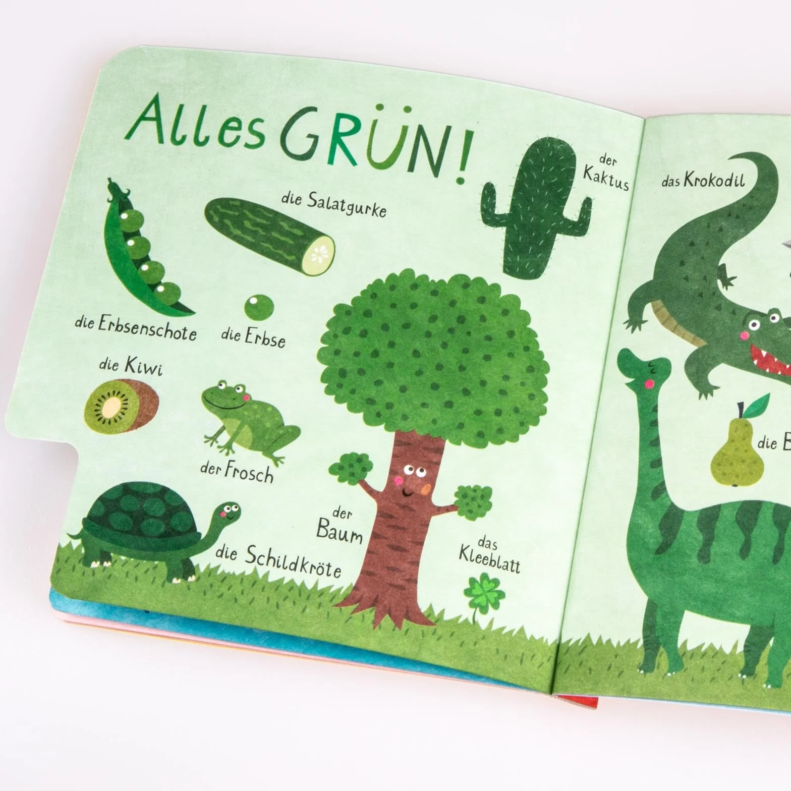 Baby Pixi (unkaputtbar) 79: Mein erstes Farbenbuch