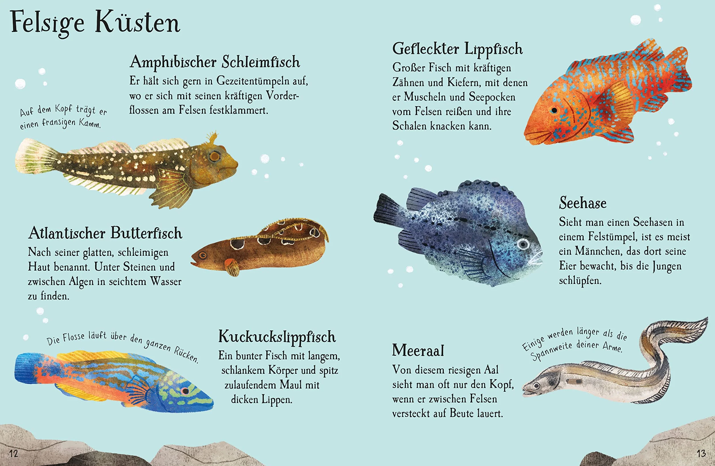 Usborne Minis Naturführer: Fische: mit 60 Stickern