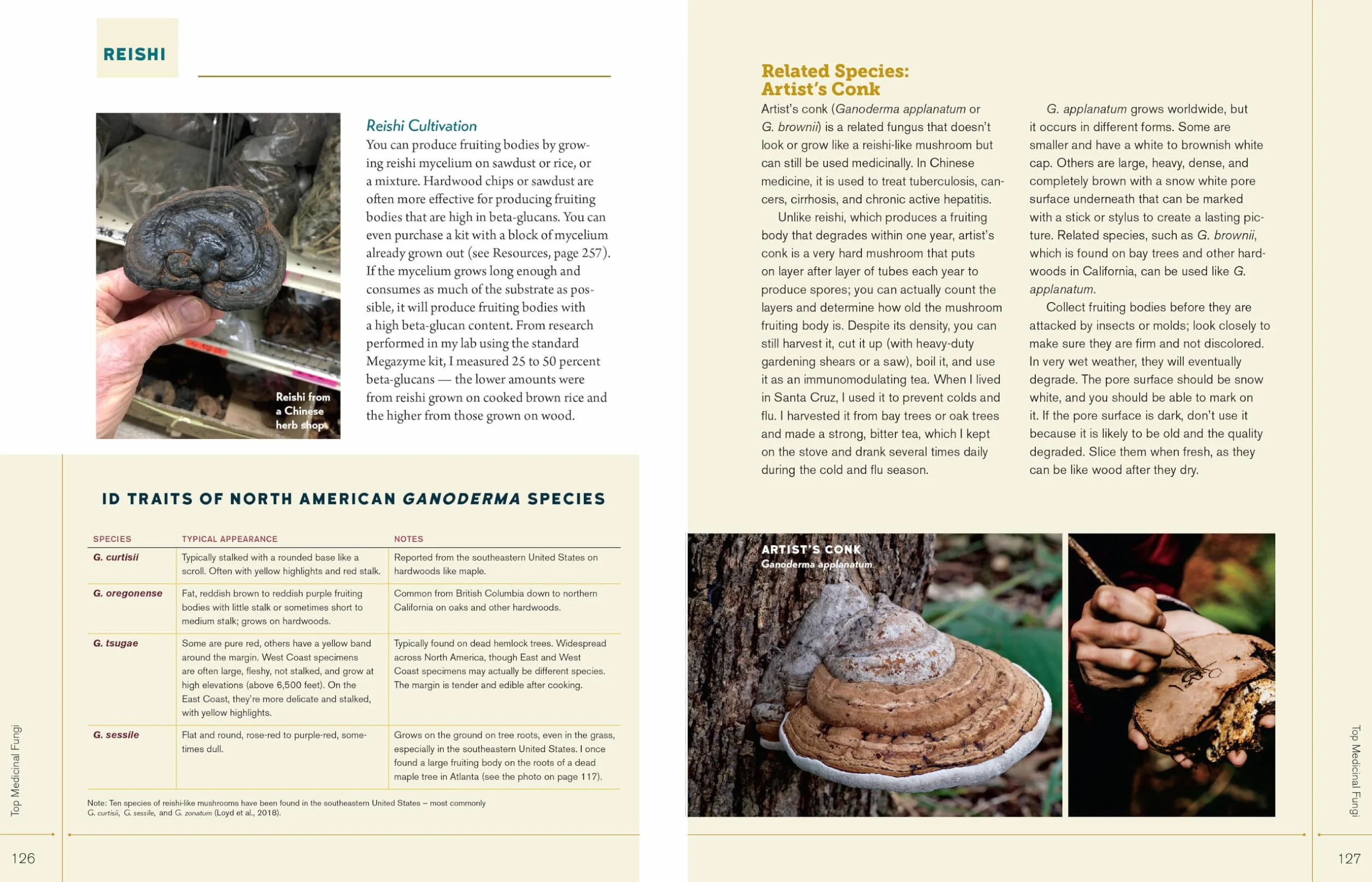 Christopher Hobbs's Medicinal Mushrooms: The Essential Guide: Boost Immunity, Improve Memory, Fight Cancer, Stop Infection, and Expand Your Consciousness