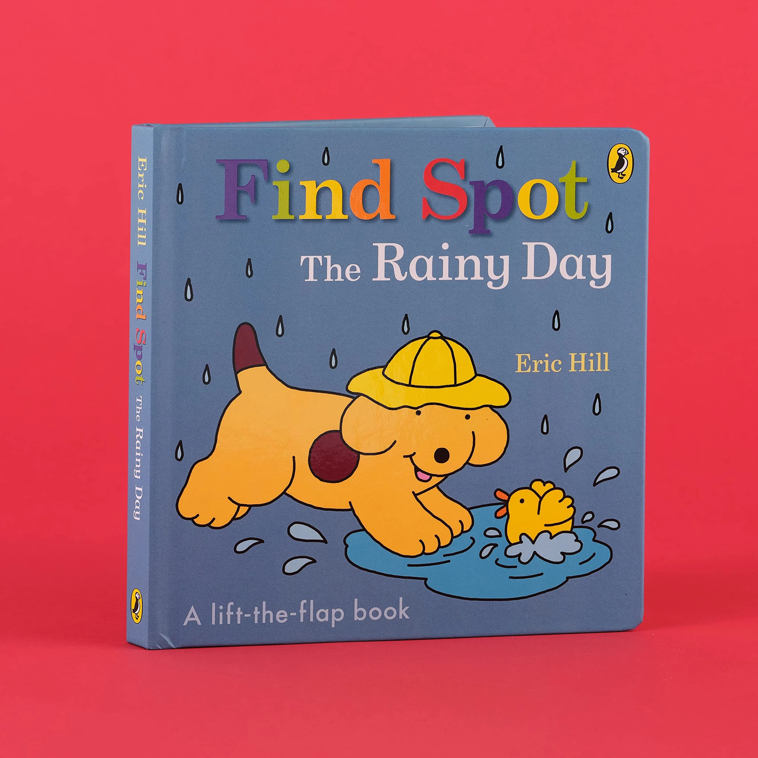 Find Spot: The Rainy Day : A Lift-the-Flap Story