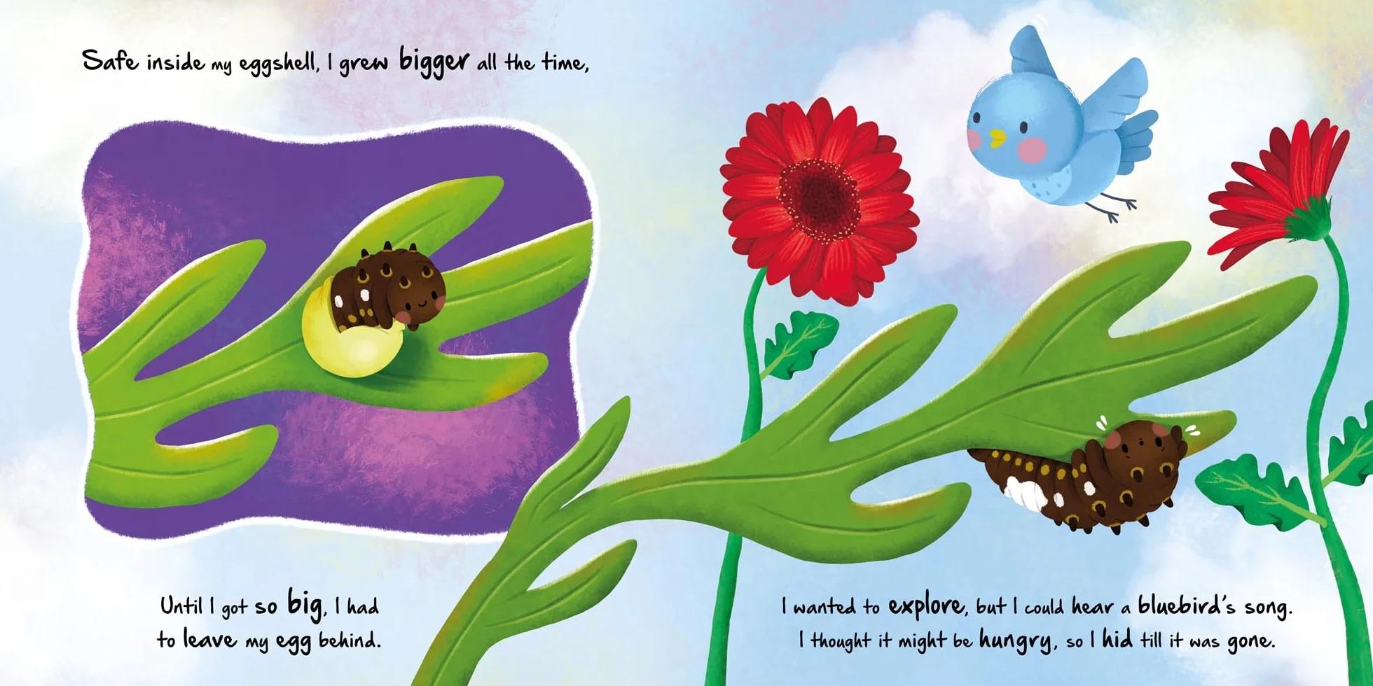 Little Caterpillar