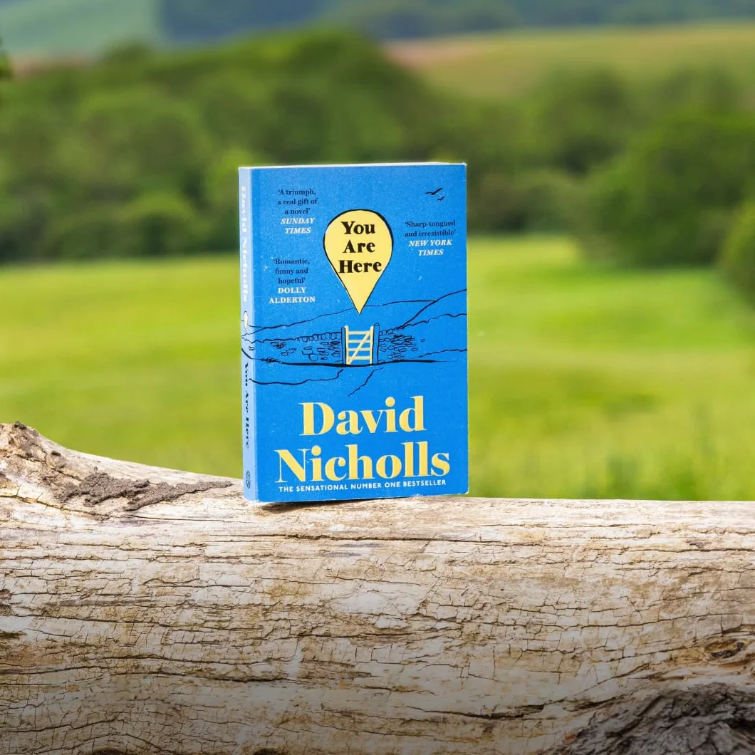 You Are Here: The number one bestselling love story from the author of One Day