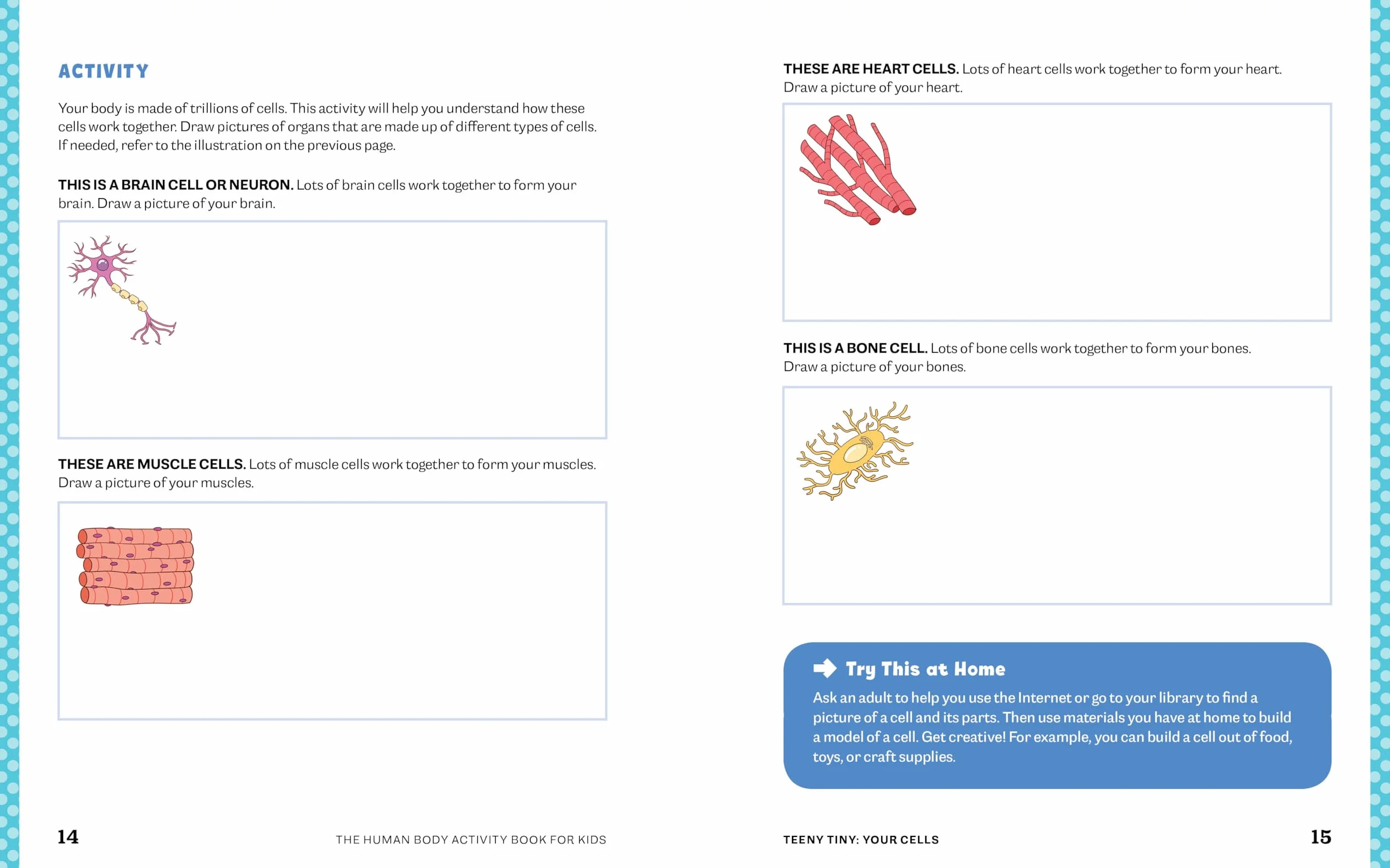 Human Body Activity Book for Kids: Hands-On Fun for Grades K-3