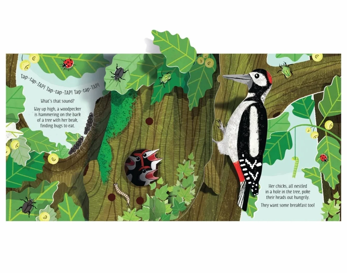 Pop-Up Nature: 1 (Pop-Ups)