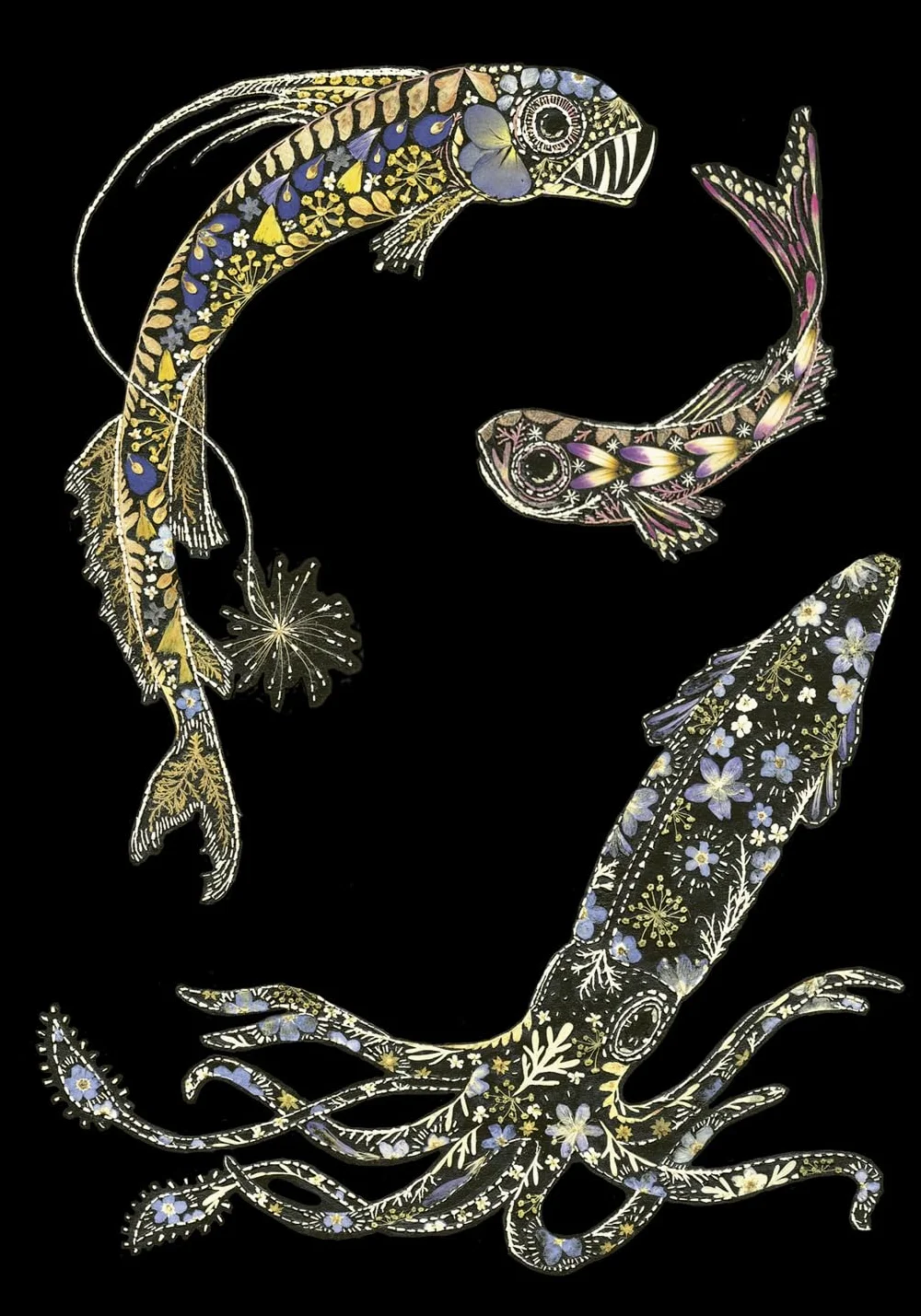 Drawn From Nature: 50 Postcards Celebrating the Natural World