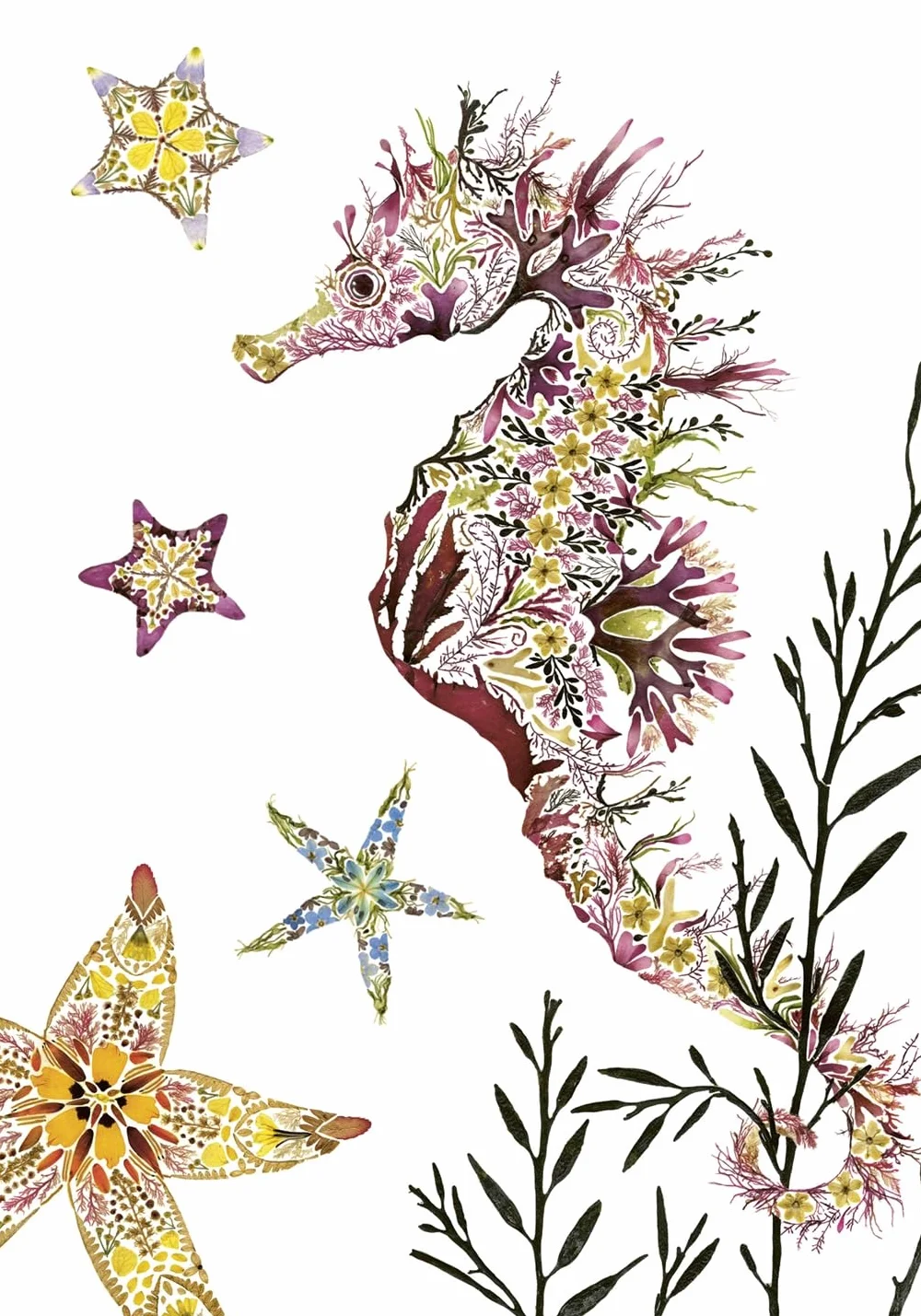 Drawn From Nature: 50 Postcards Celebrating the Natural World