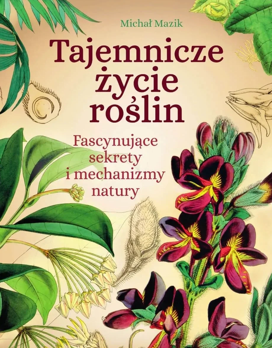 Tajemnicze życie roślin. Fascynujące sekrety i mechanizmy natury