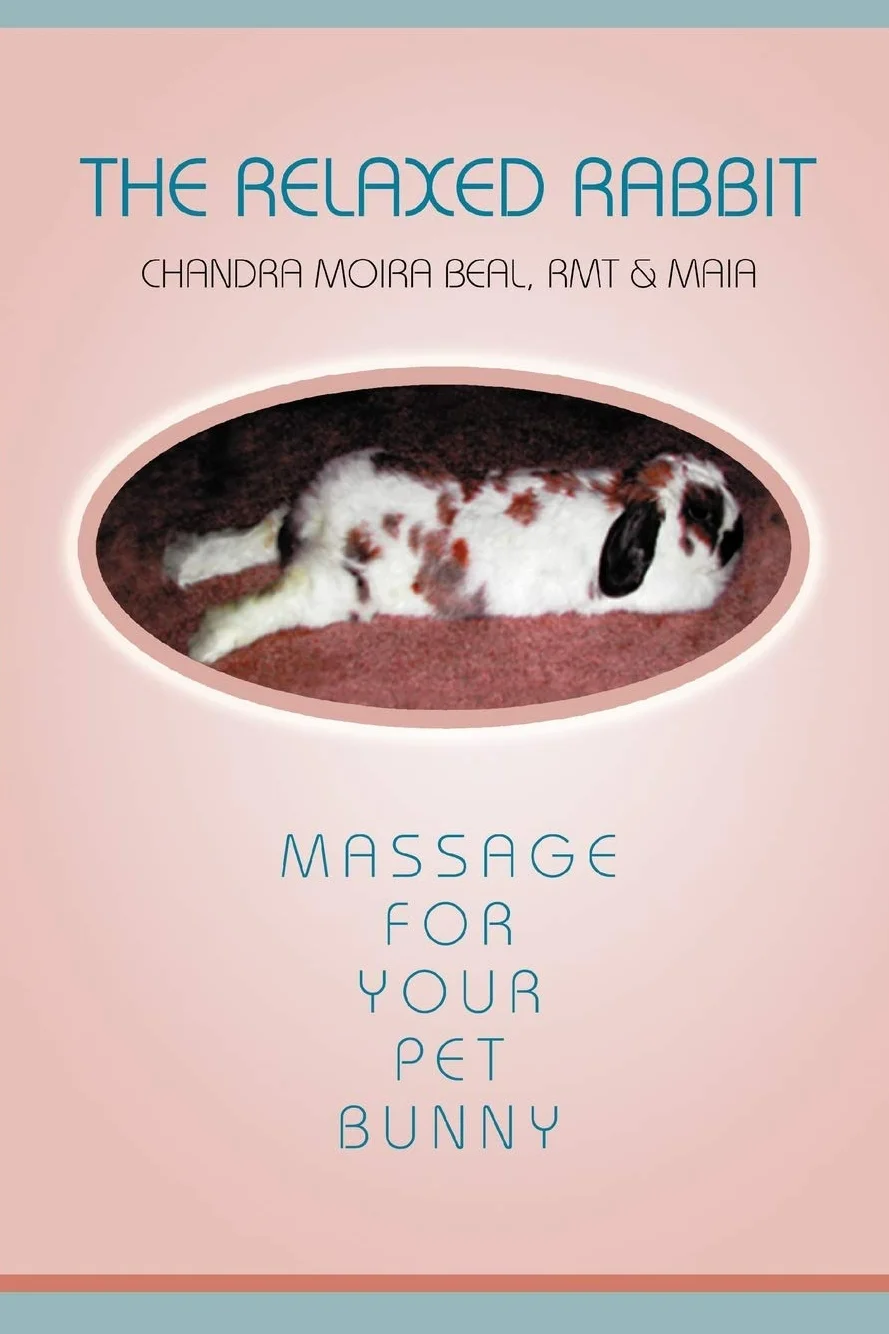 The Relaxed Rabbit: Massage for Your Pet Bunny