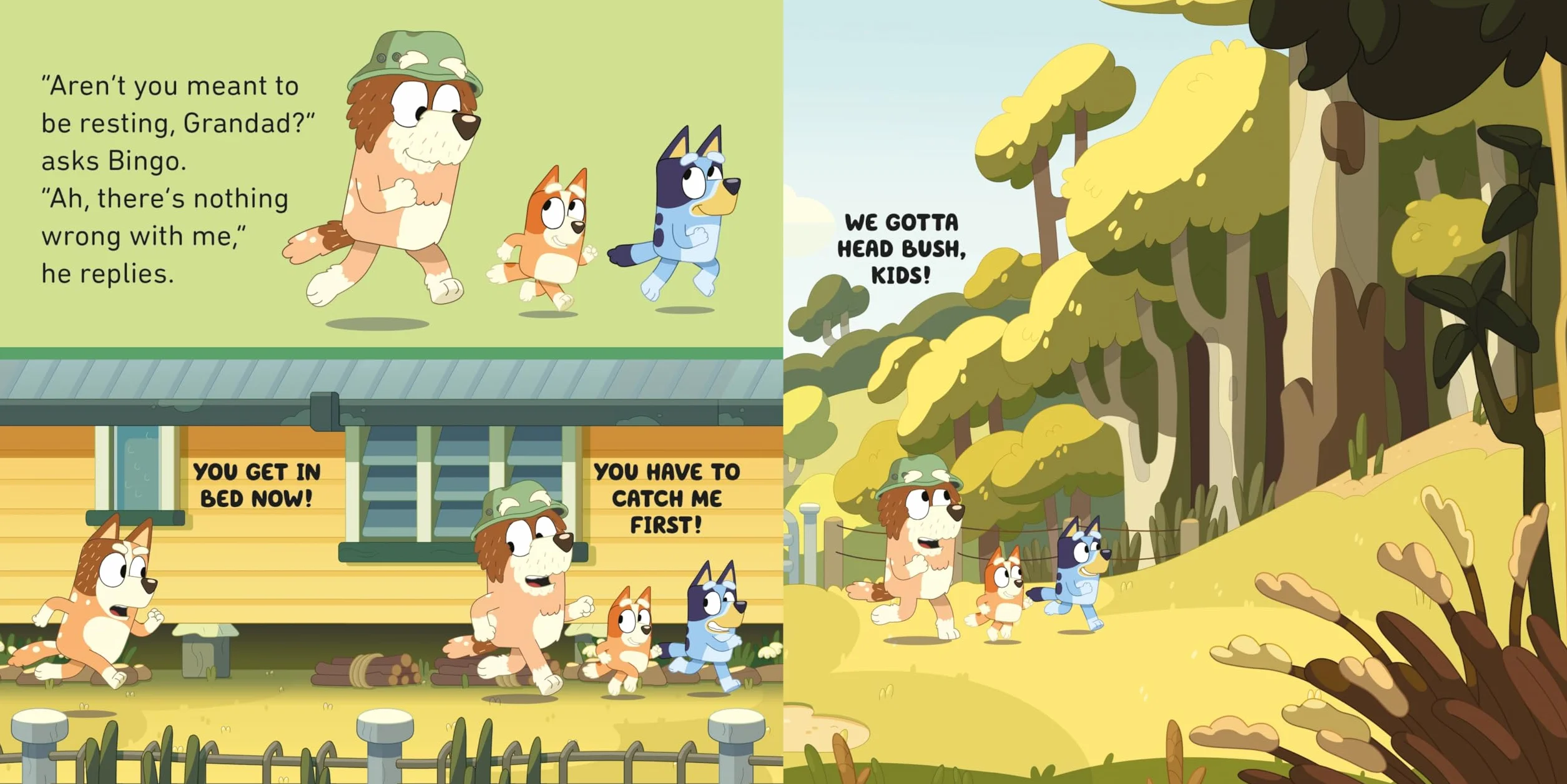 Bluey: Grandad: An uplifting story about family and growing up