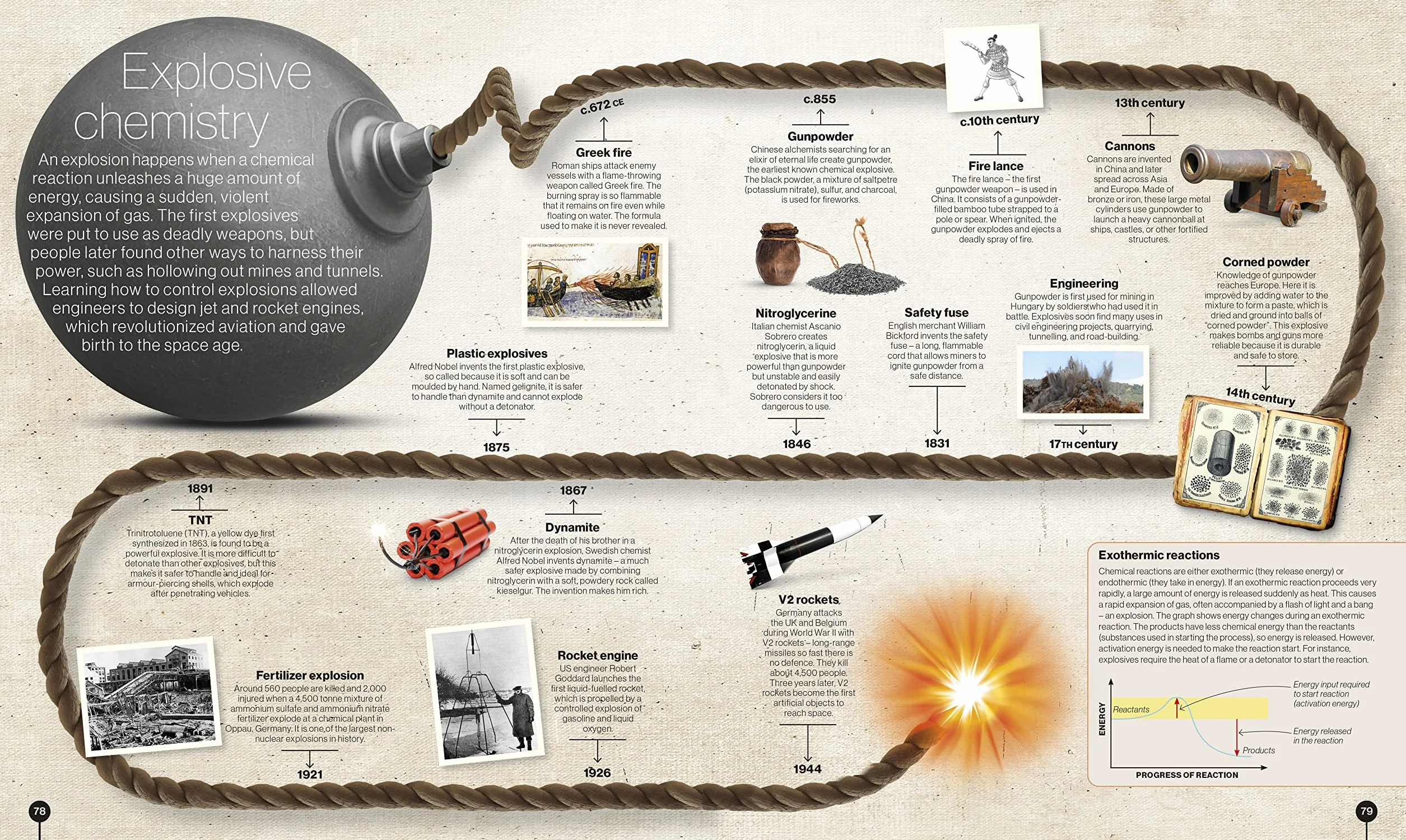 Timelines of Science: From Fossils to Quantum Physics