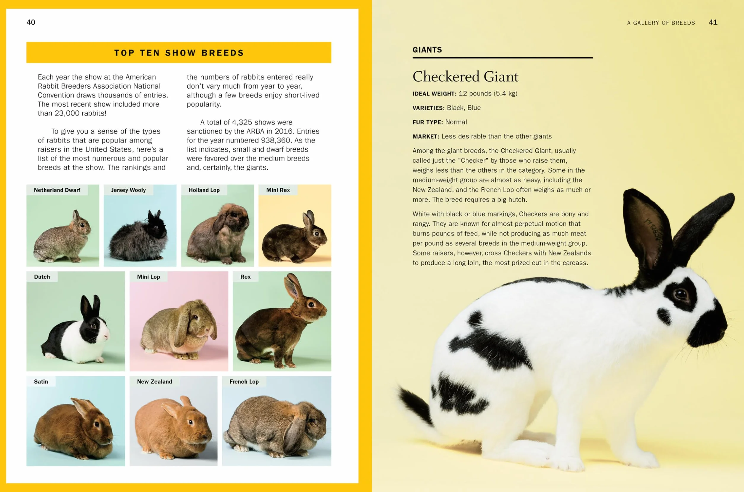 Storey's Guide to Raising Rabbits, 5th Edition: Breeds, Care, Housing