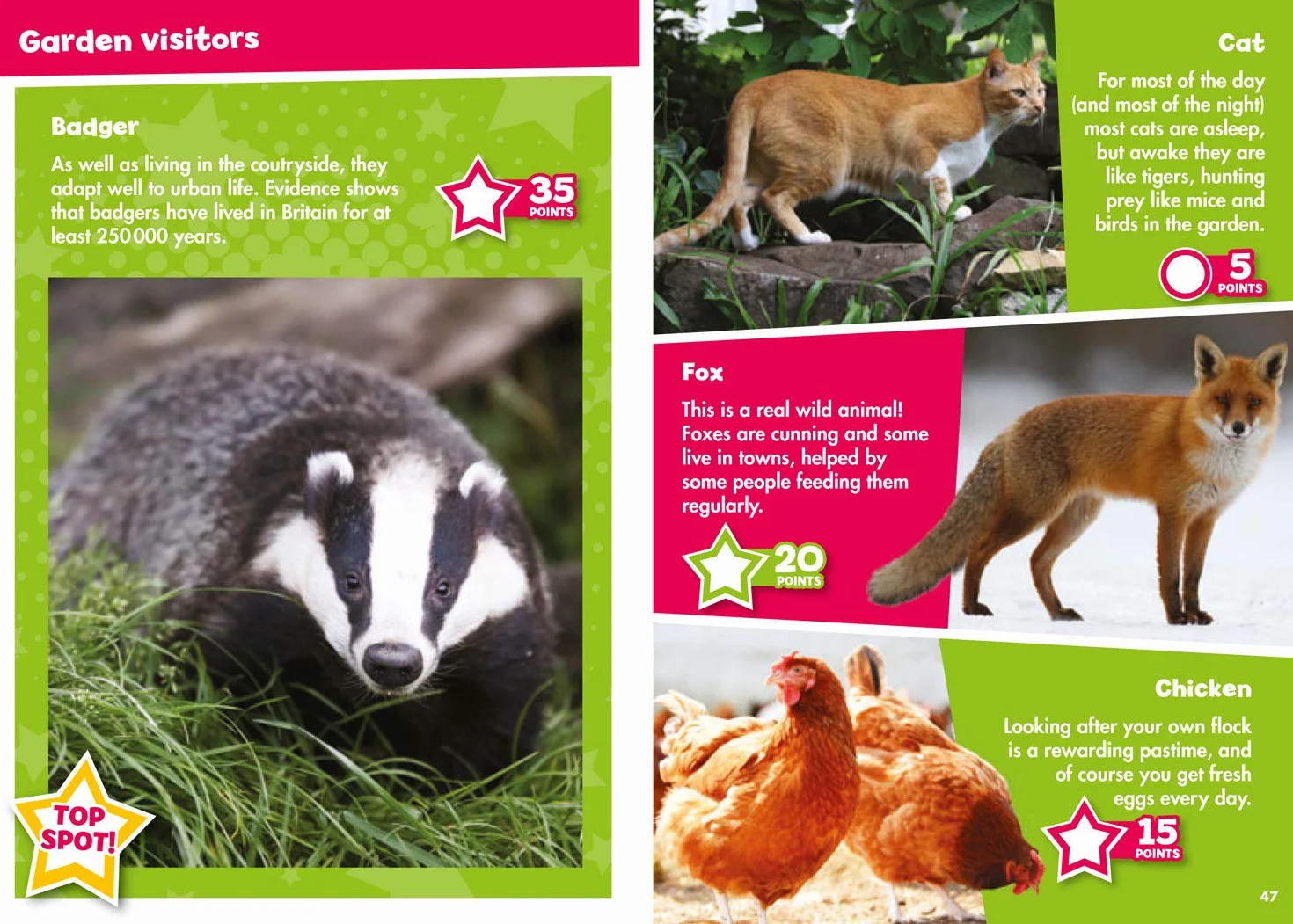 i-SPY In the Garden: Spy it! Score it!
