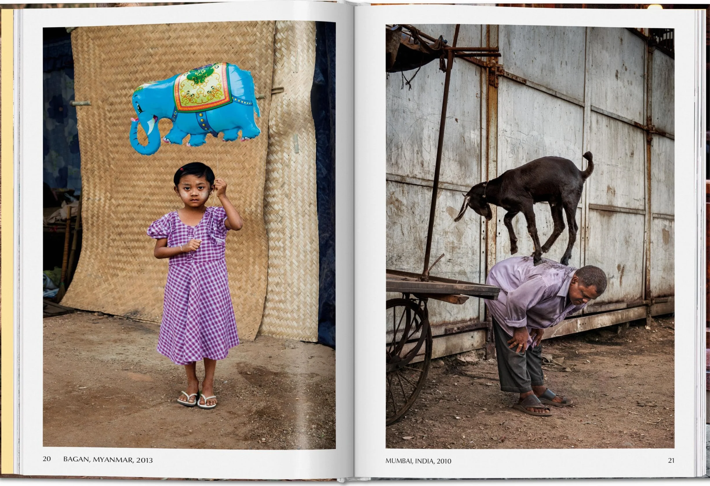 Steve mccurry. animals