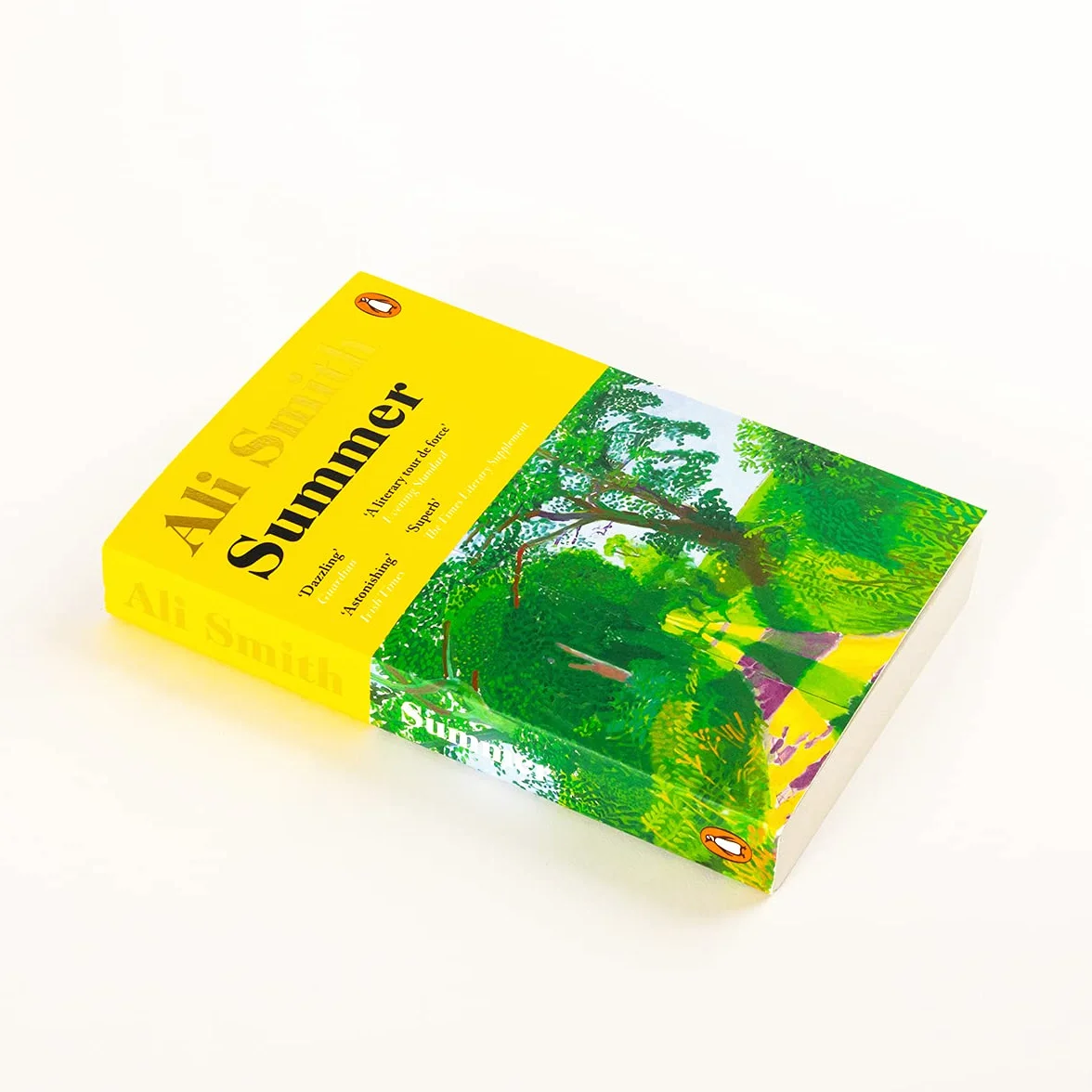 Summer: Winner of the Orwell Prize for Fiction: 4