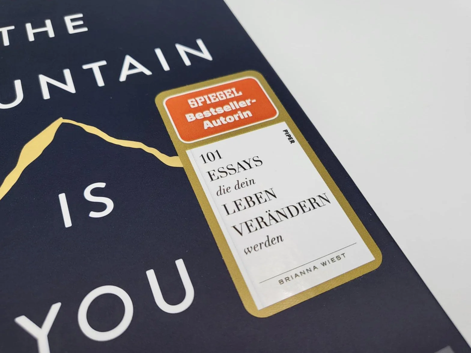 The Mountain Is You: Wie du Selbstsabotage erkennen und überwinden kannst¿ | Der Booktok-Bestseller endlich auf Deutsch!