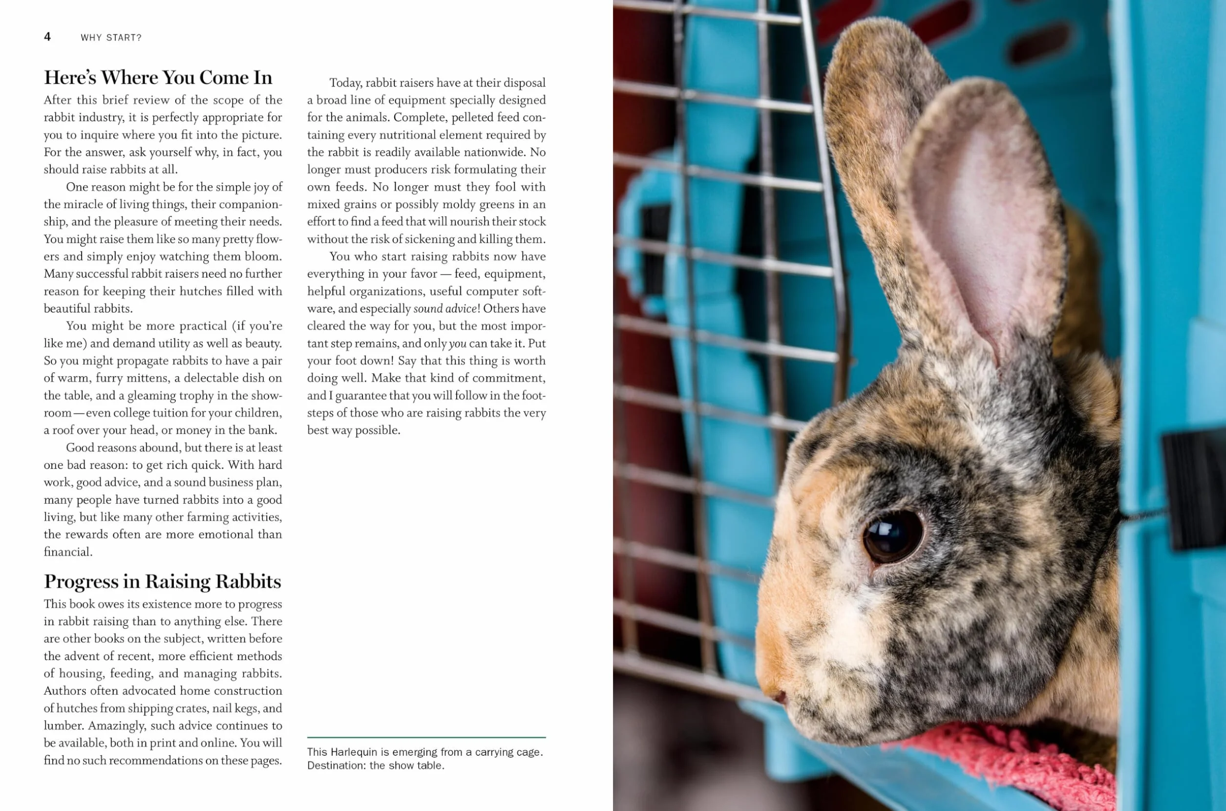 Storey's Guide to Raising Rabbits, 5th Edition: Breeds, Care, Housing