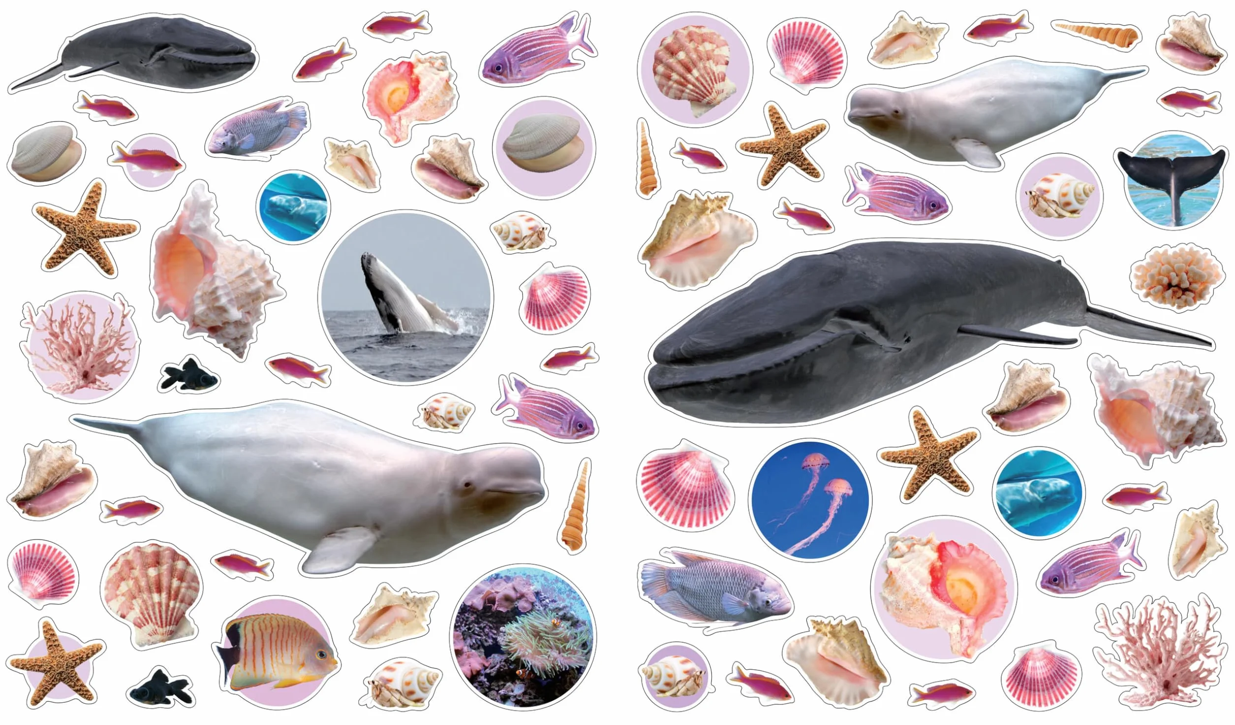Ocean (Eye Like Stickers)