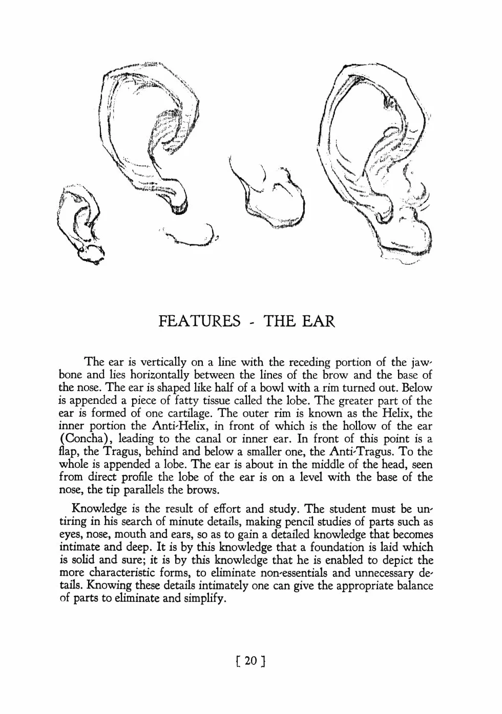 Heads, Features and Faces