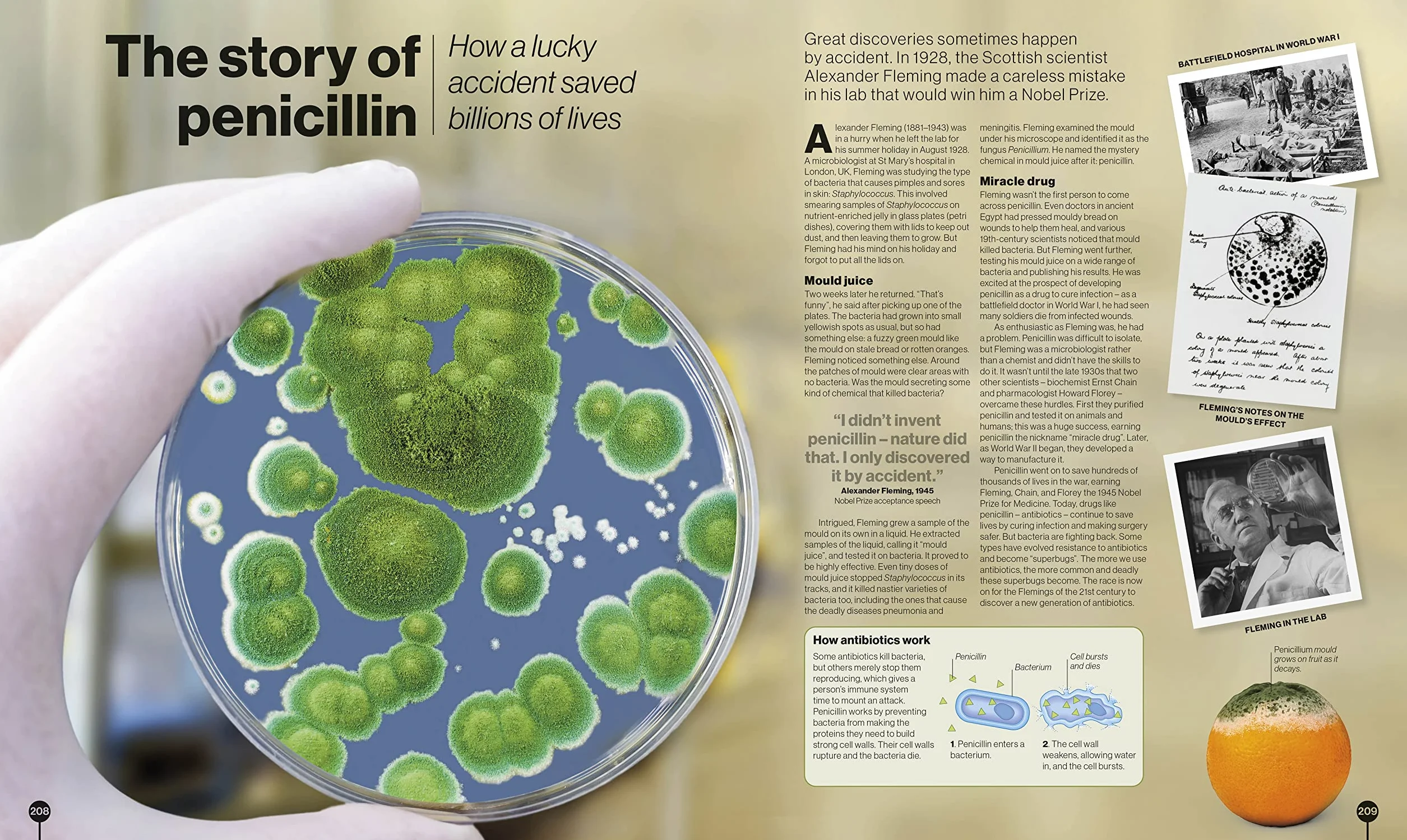 Timelines of Science: From Fossils to Quantum Physics