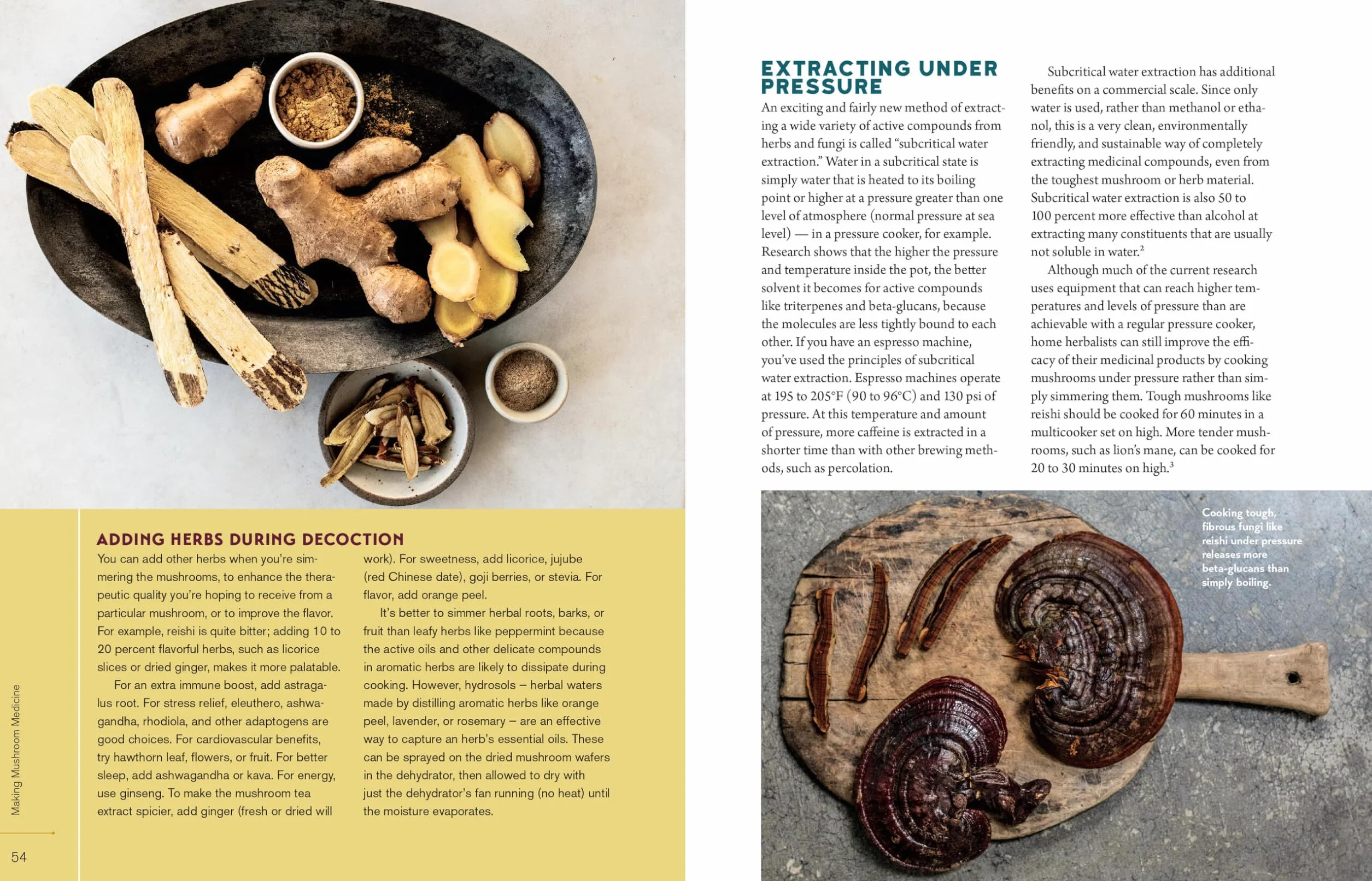 Christopher Hobbs's Medicinal Mushrooms: The Essential Guide: Boost Immunity, Improve Memory, Fight Cancer, Stop Infection, and Expand Your Consciousness