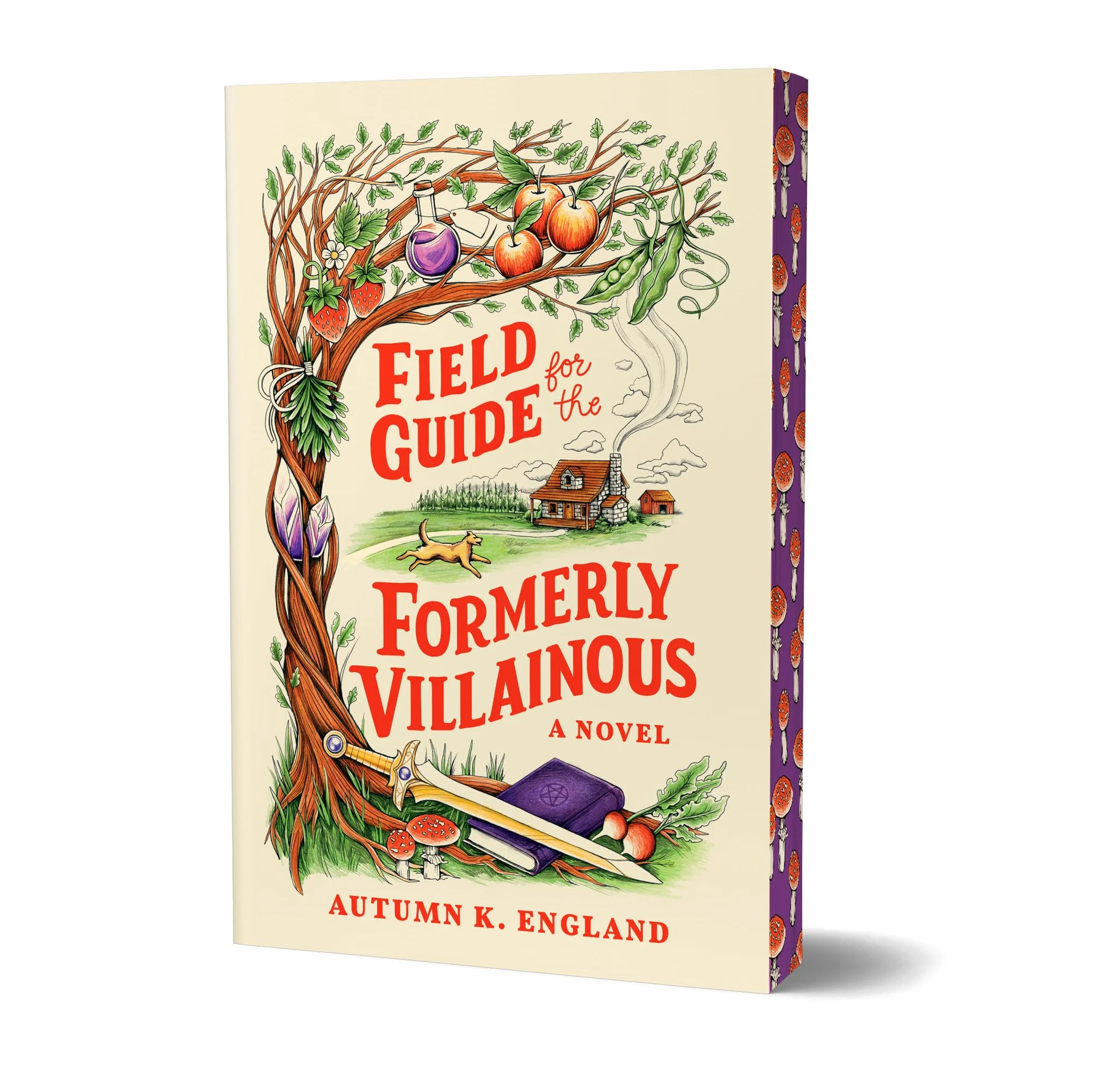 Field Guide for the Formerly Villainous (Deluxe Edition): 1