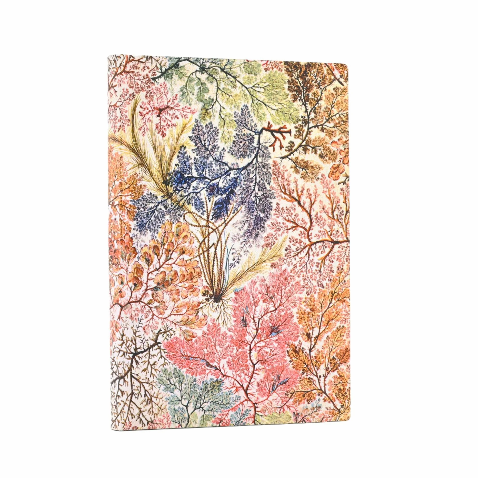 Carnet souple Paperblanks Anémone Mini Non ligné 208p.