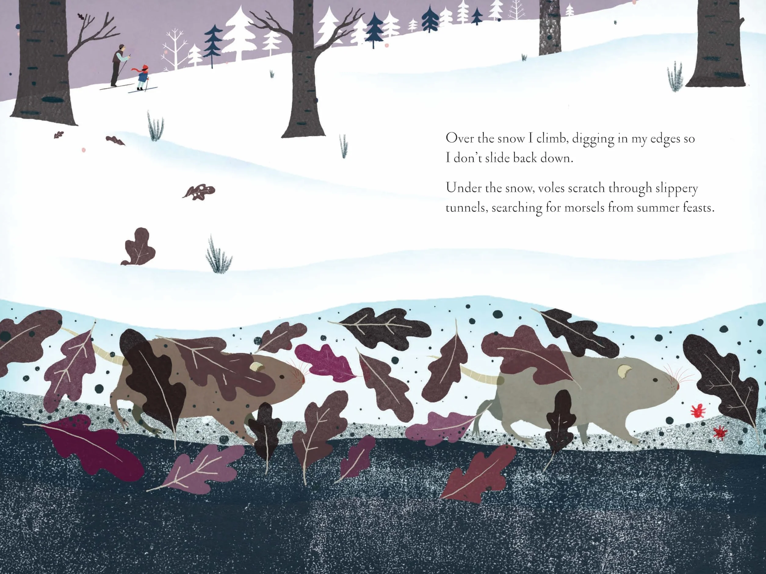 Over and Under the Snow