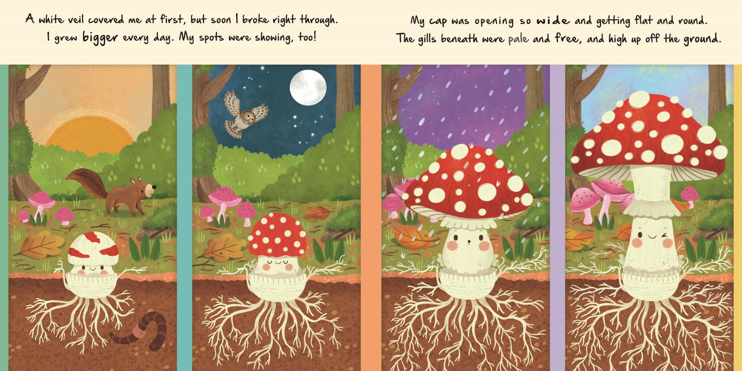 Little Mushroom