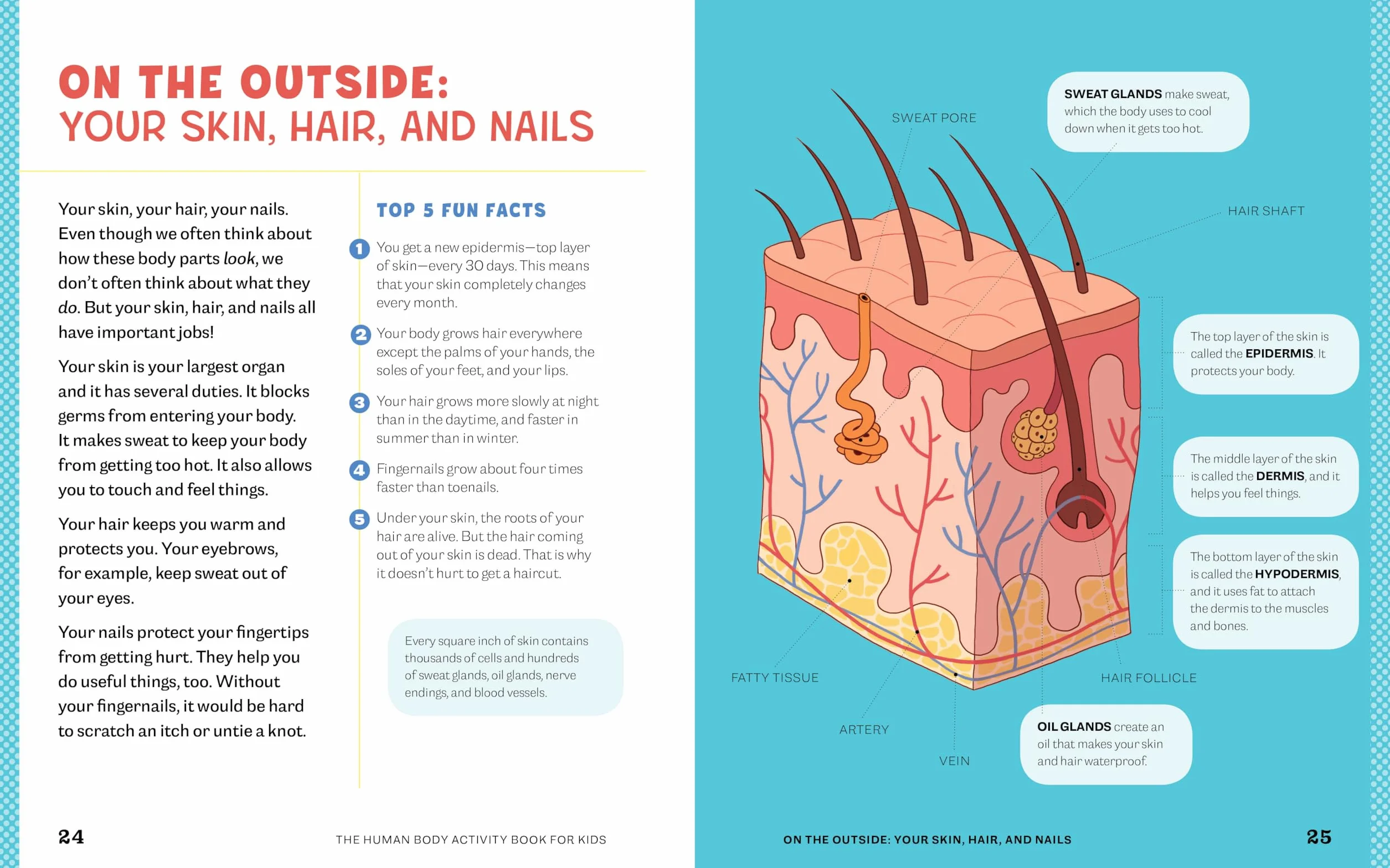 Human Body Activity Book for Kids: Hands-On Fun for Grades K-3