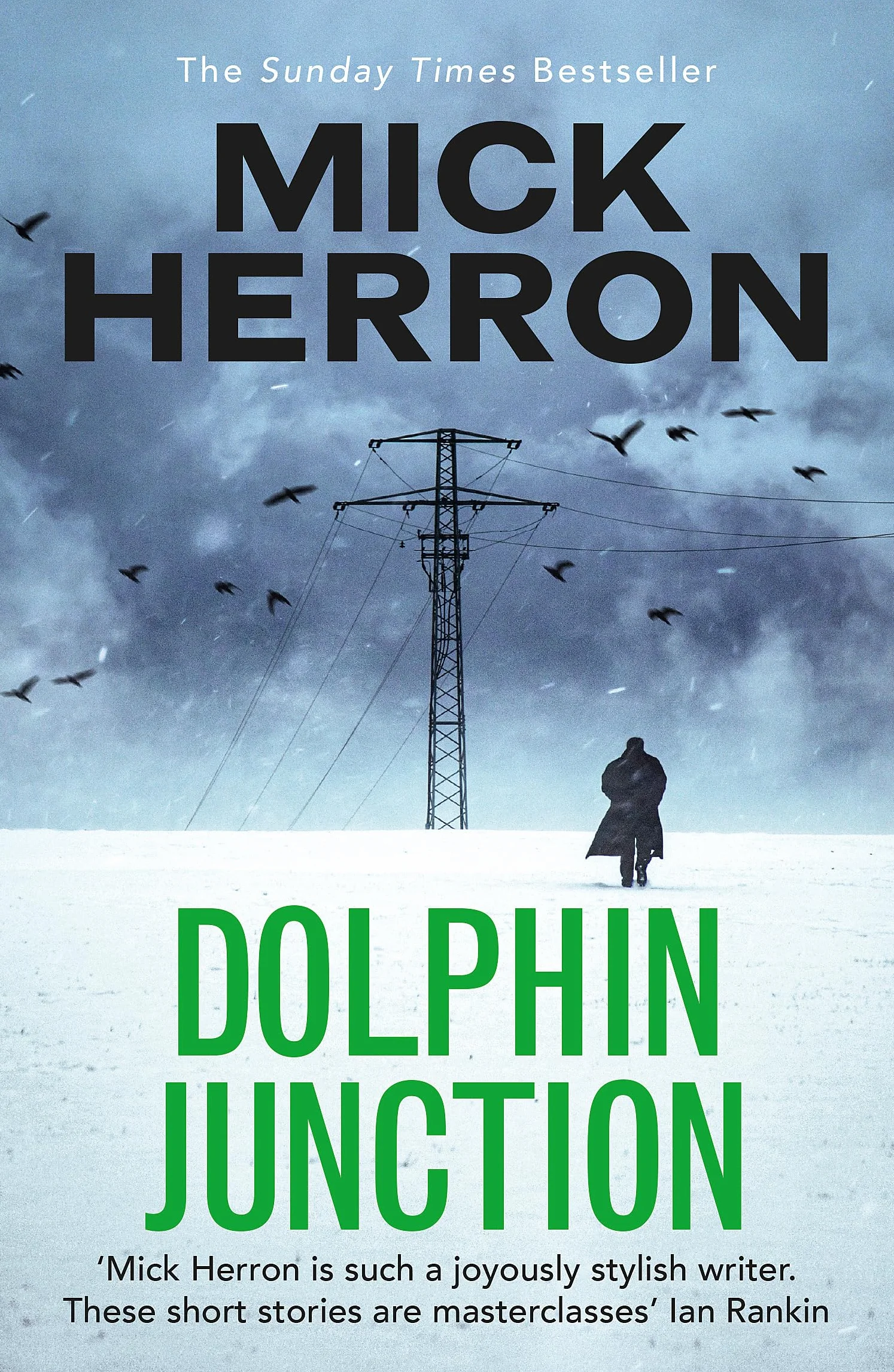 Dolphin Junction