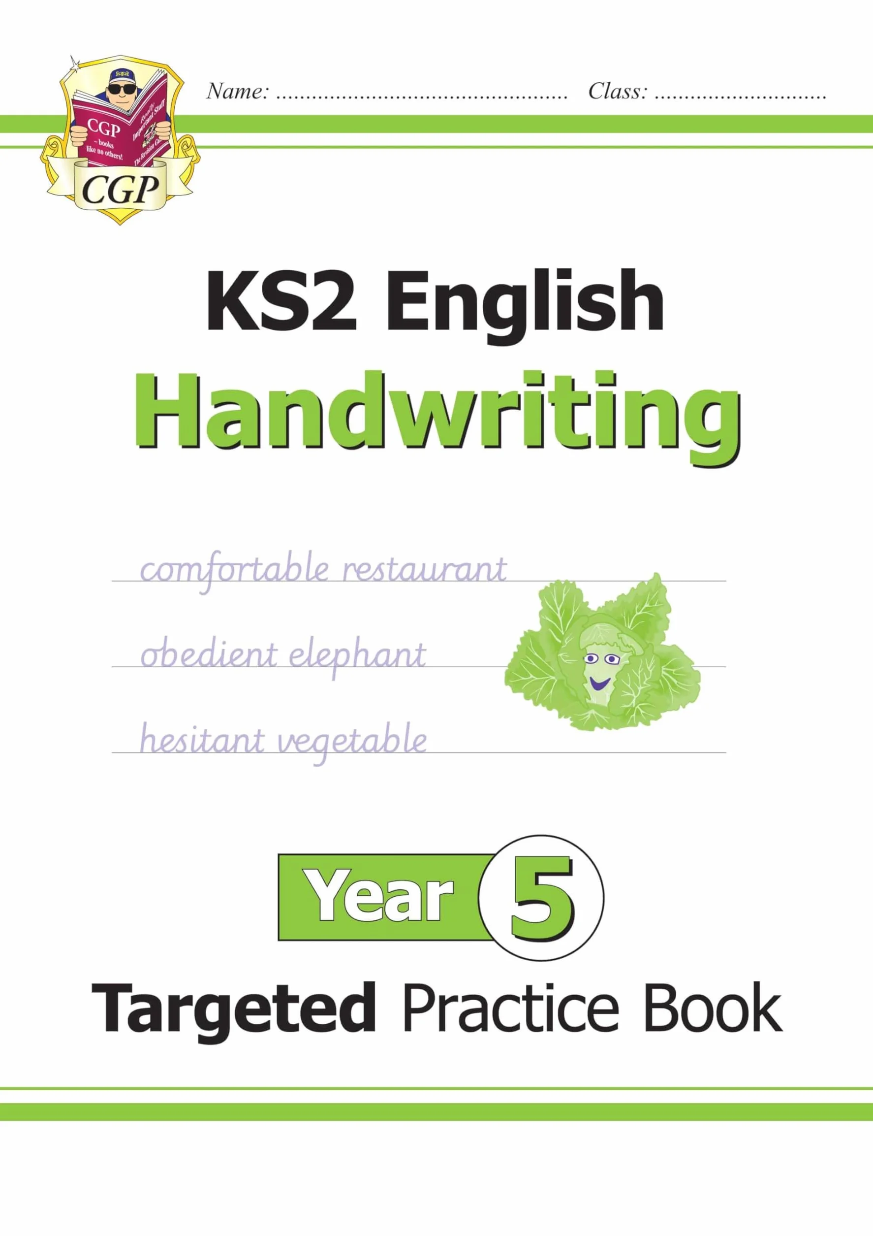 KS2 English Year 5 Handwriting Targeted Practice Book