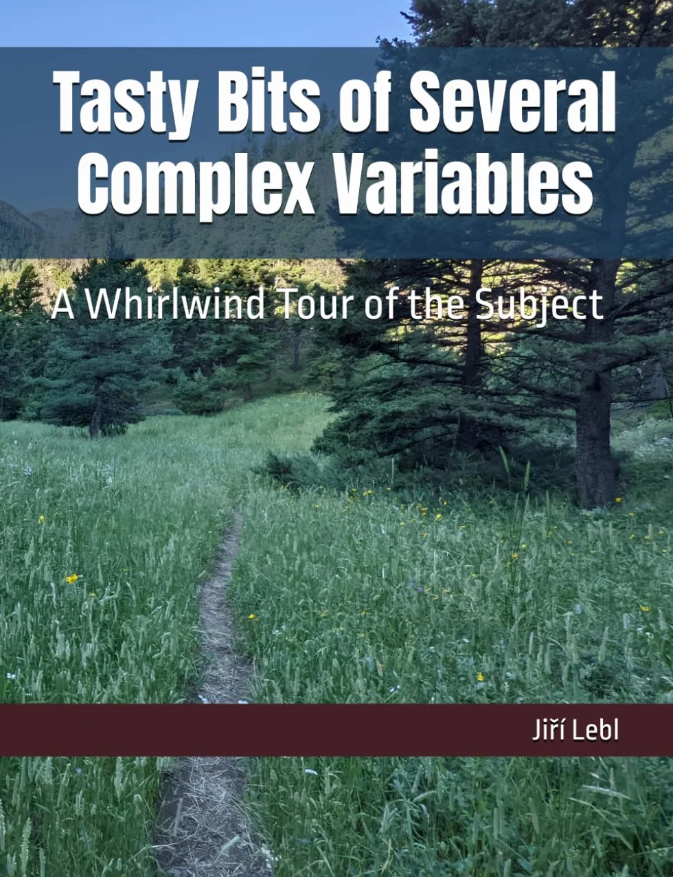 Tasty Bits of Several Complex Variables: A Whirlwind Tour of the Subject