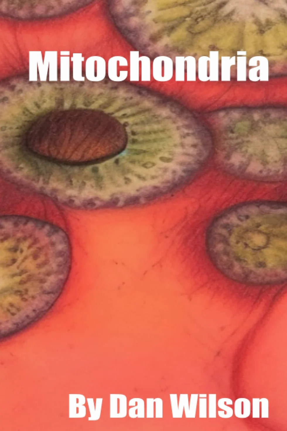 Mitochondria: Structure, Dysfunction, and Research
