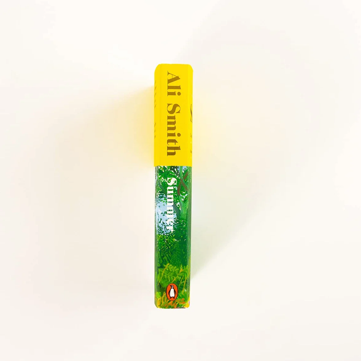 Summer: Winner of the Orwell Prize for Fiction: 4