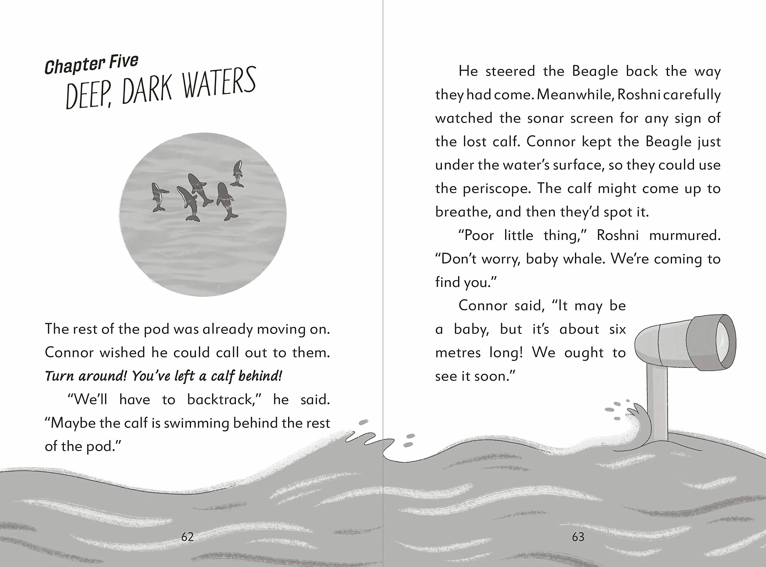 The Secret Explorers and the Lost Whales