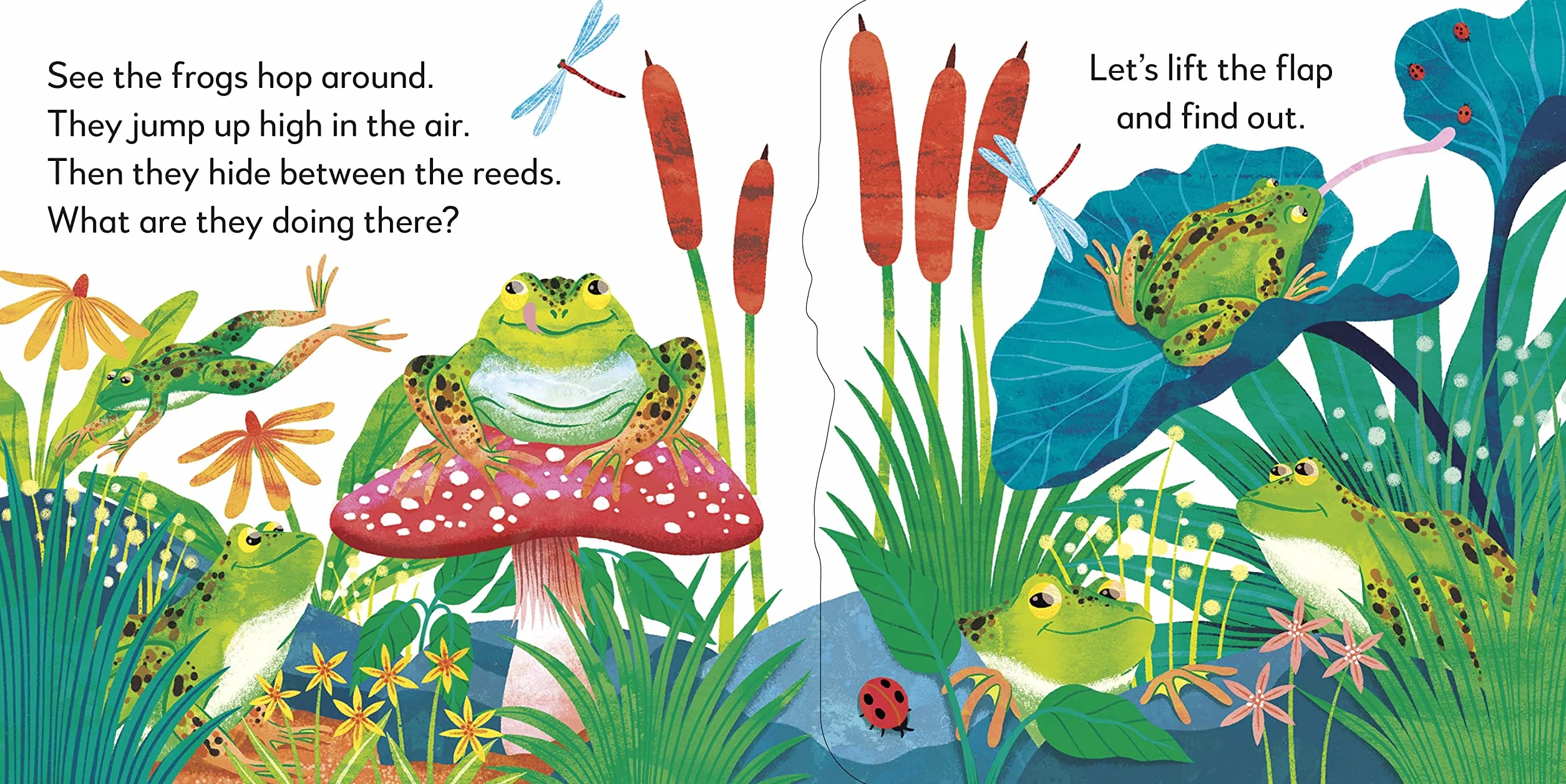 Pop-Up Peekaboo! Frog: Pop-Up Surprise Under Every Flap!