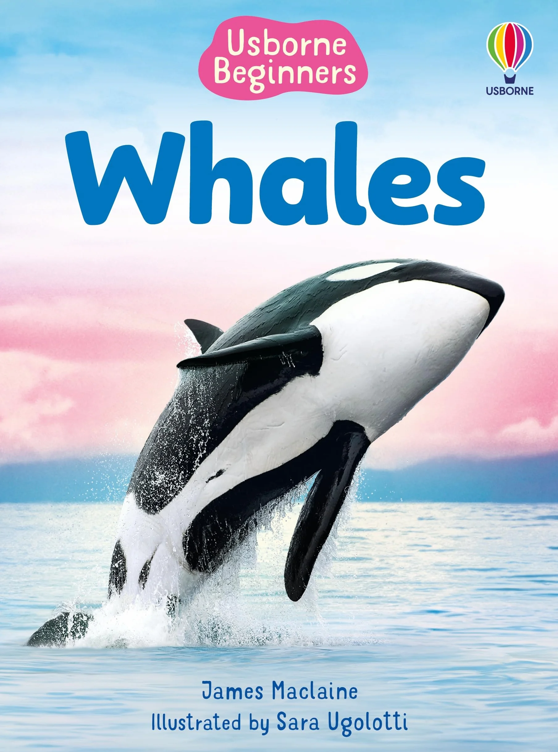 Beginners Whales