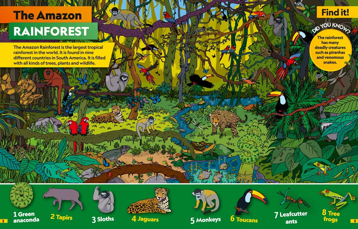 Animals Find it! Explore it!: More than 250 things to find, facts and photos!