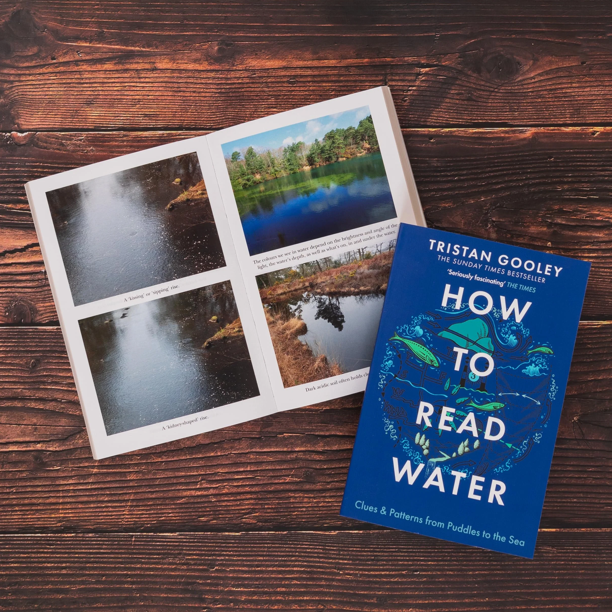How To Read Water: Clues & Patterns from Puddles to the Sea