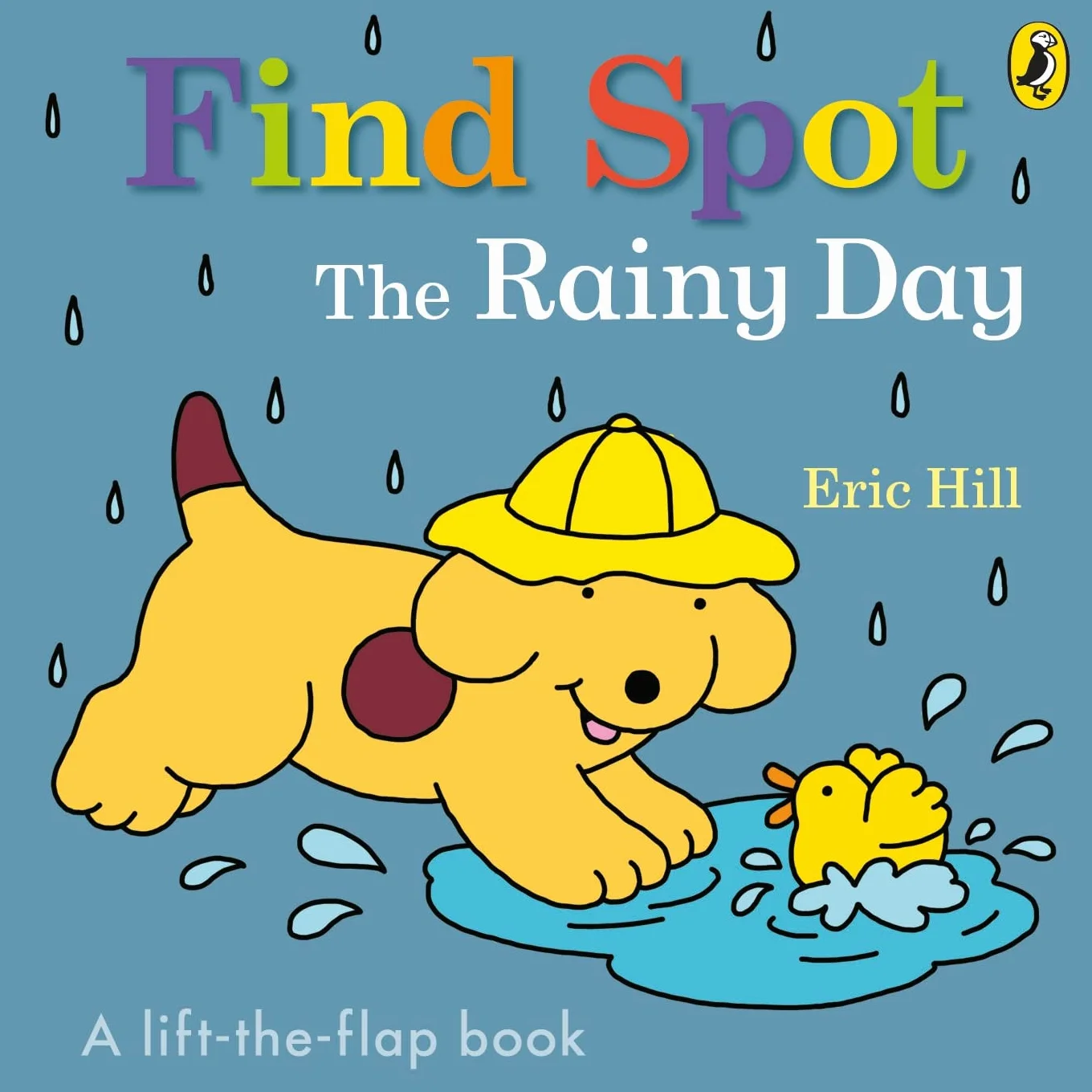 Find Spot: The Rainy Day : A Lift-the-Flap Story