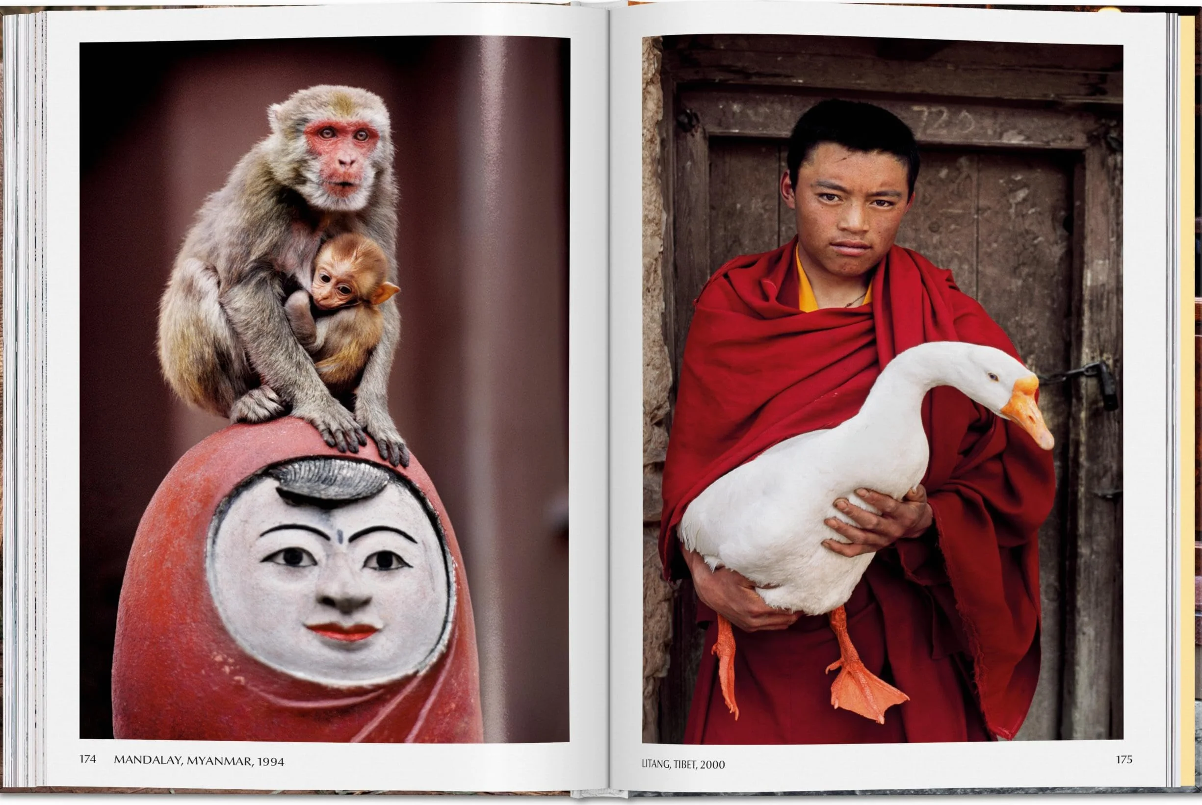 Steve mccurry. animals