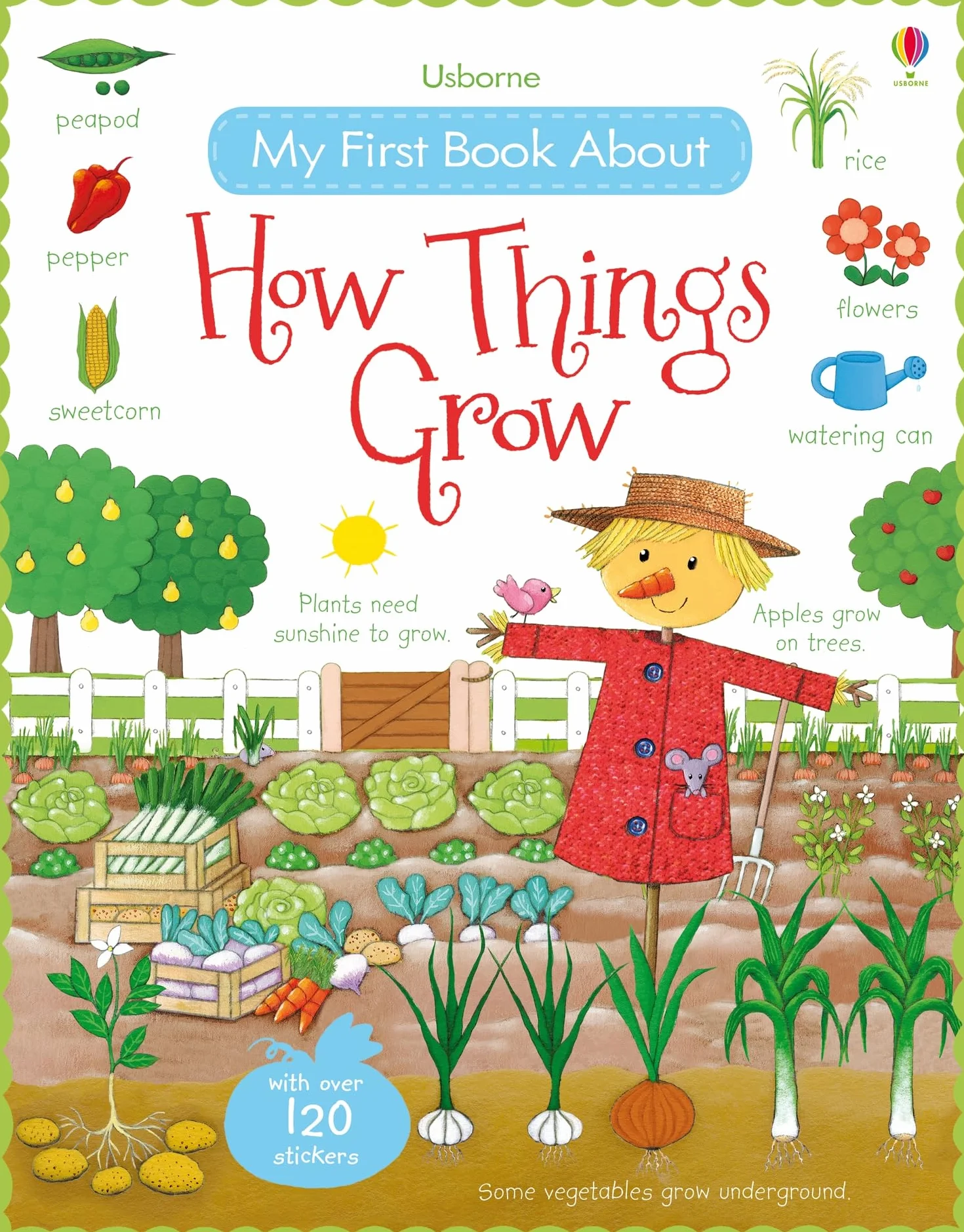 My First Book About How Things Grow (My First Books): 1 (All About)