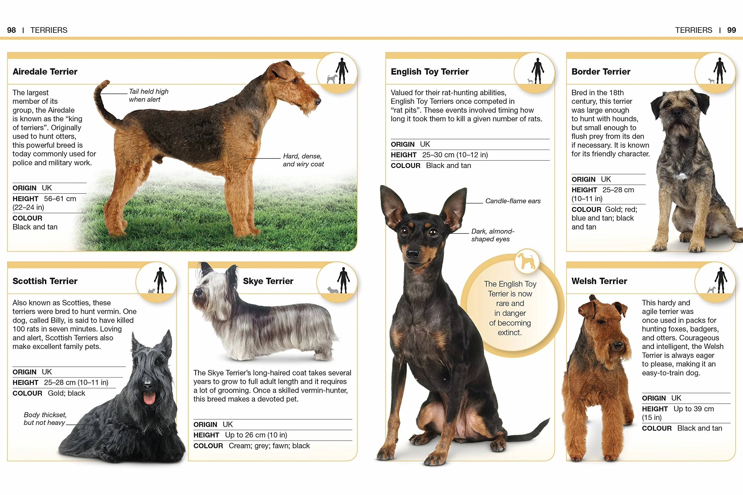 Pocket Eyewitness Dogs: Facts at Your Fingertips