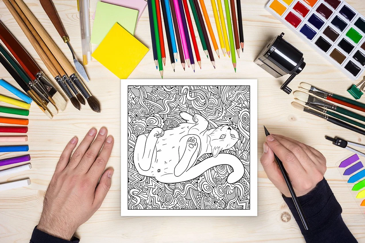 Cat Butt: An Off-Color Adult Coloring Book for Cat Lovers