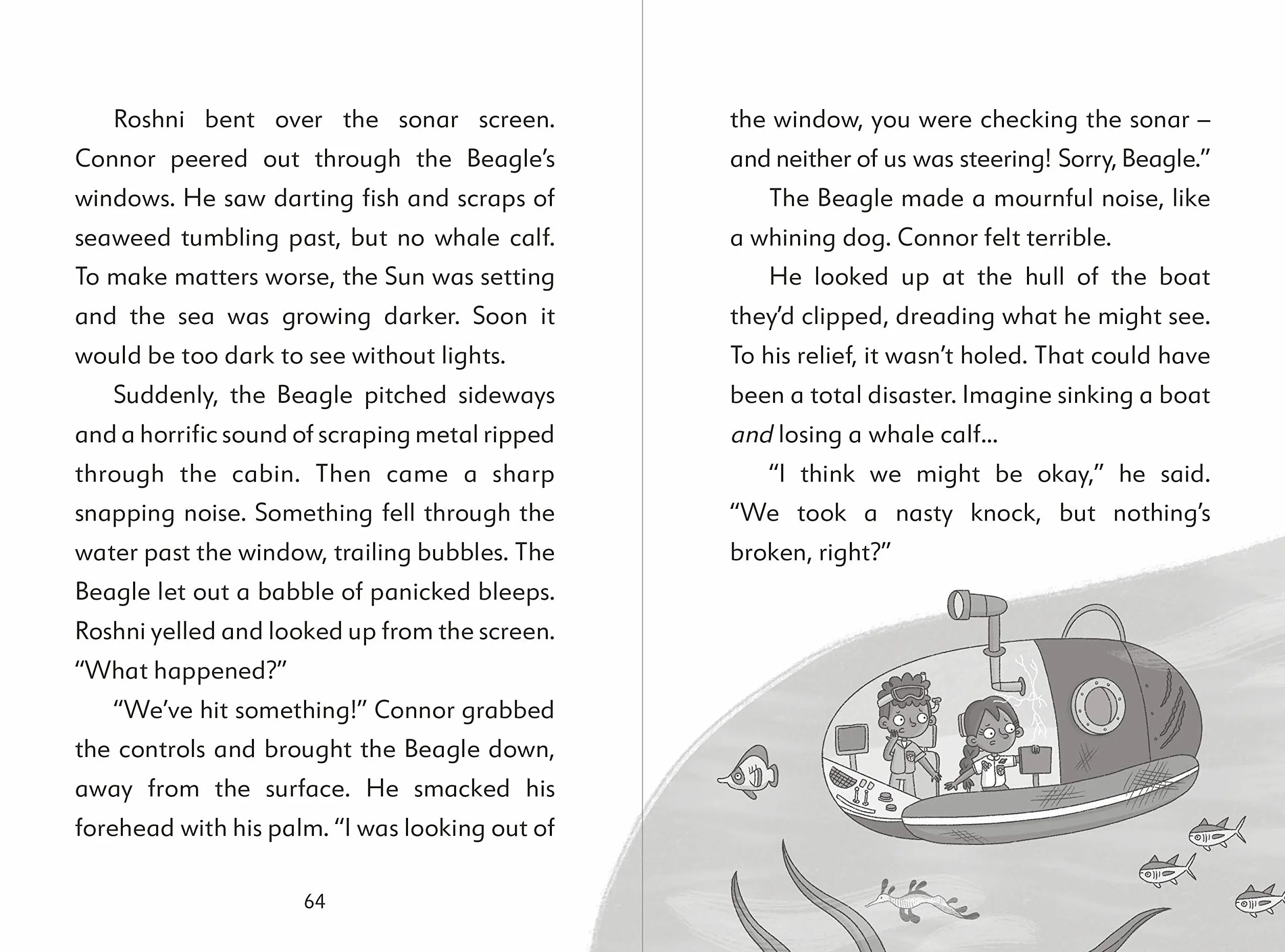 The Secret Explorers and the Lost Whales