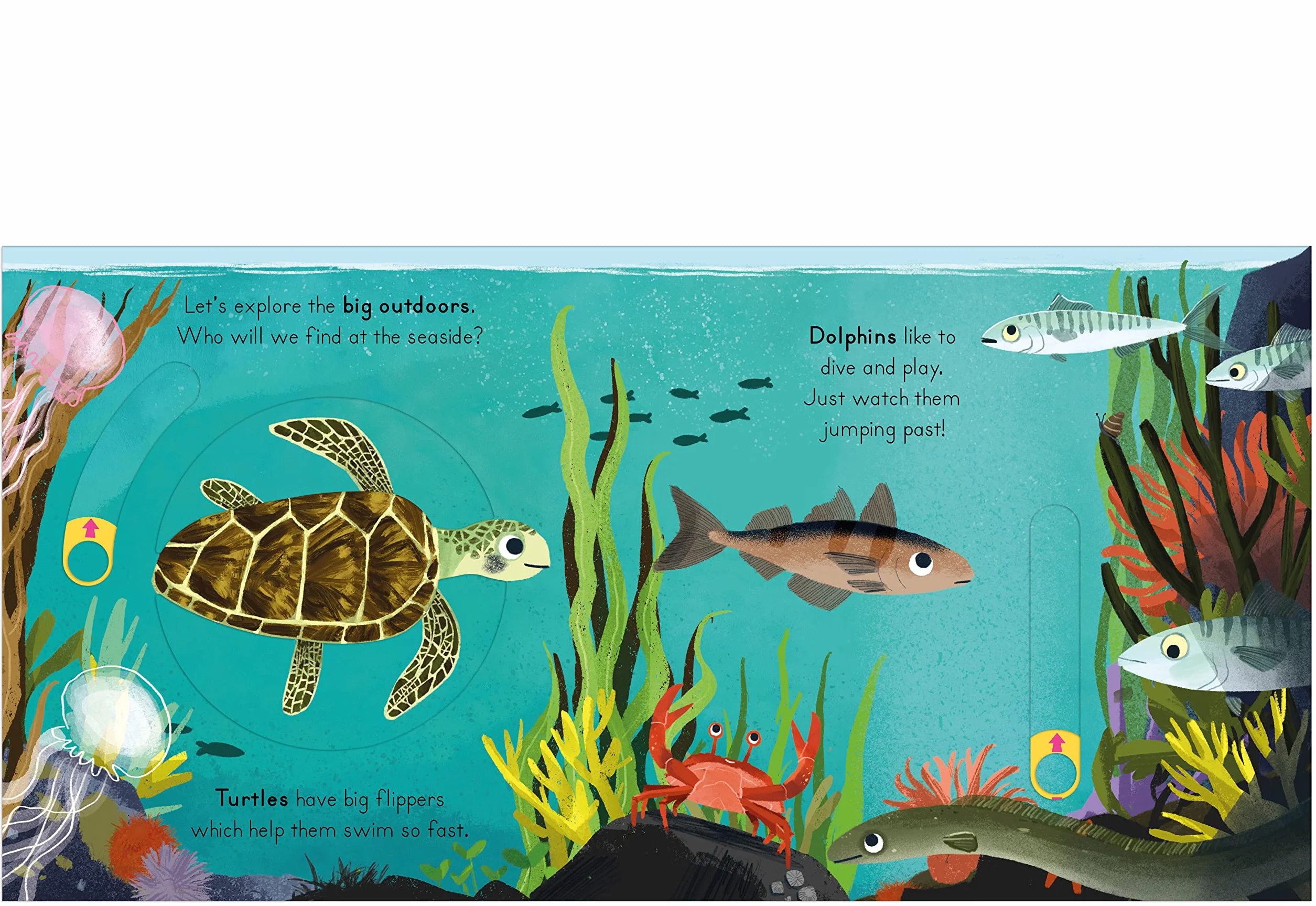 National Trust: Big Outdoors for Little Explorers: Seaside
